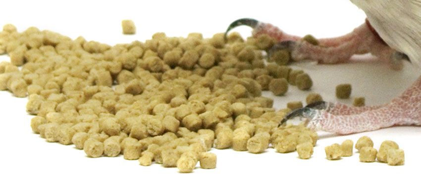 budgie food pellets