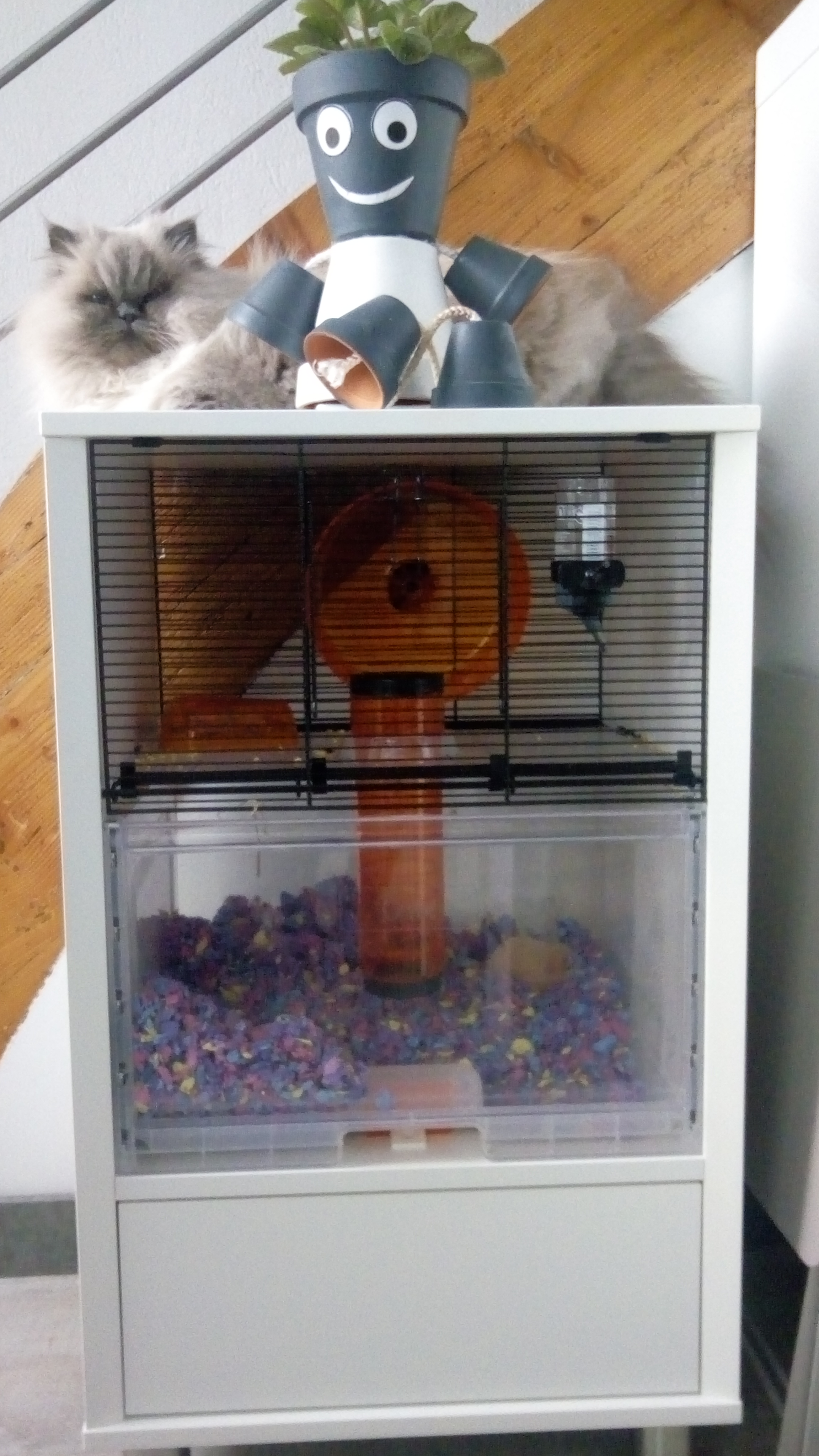 Cage à hamster Qute