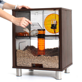 cage-qute-omlet