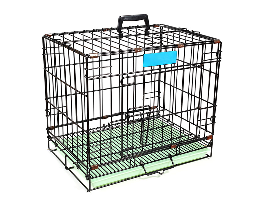 A budgie carrier cage