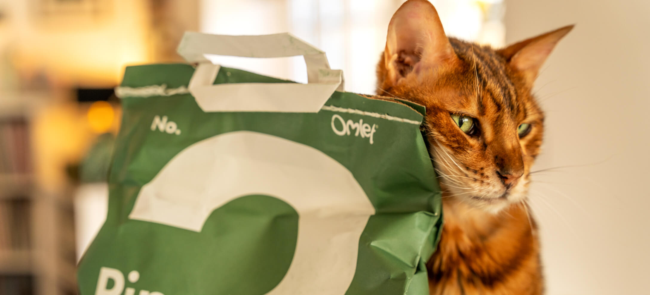 Un chat Bengal à côté d’un sac vert de litière pour chat