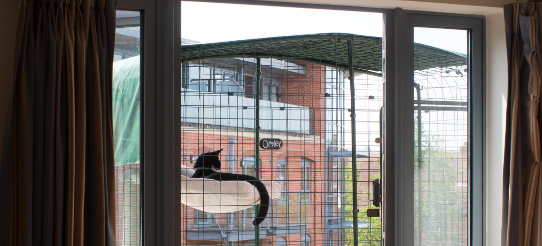 un chat couché sur un panier à l’intérieur d’un enclos pour balcon