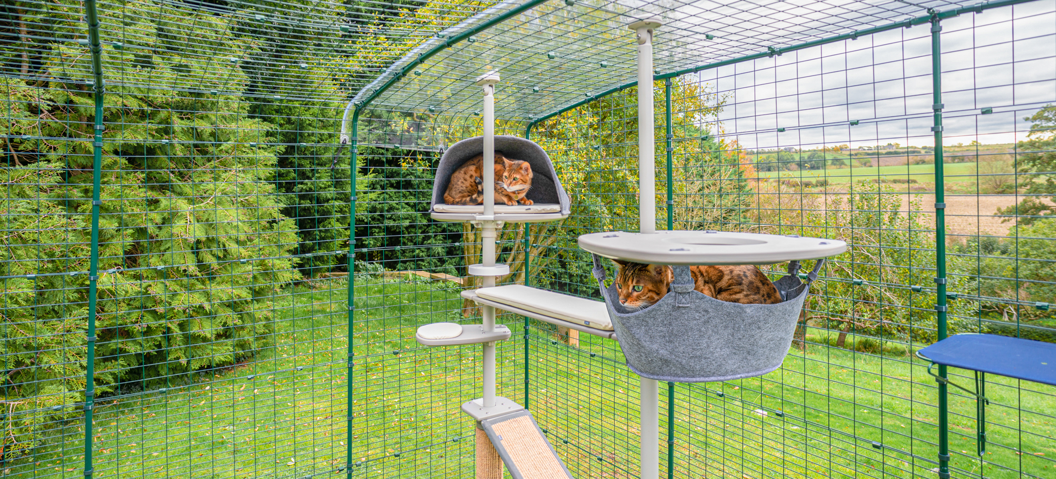 chats qui se détendent dans une tanière et un hamac sur un arbre à chat d’extérieur