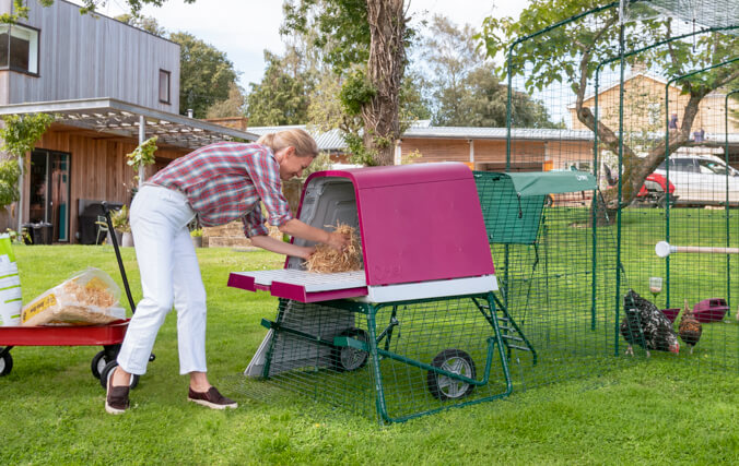 Les poules adoreront nicher en hauteur