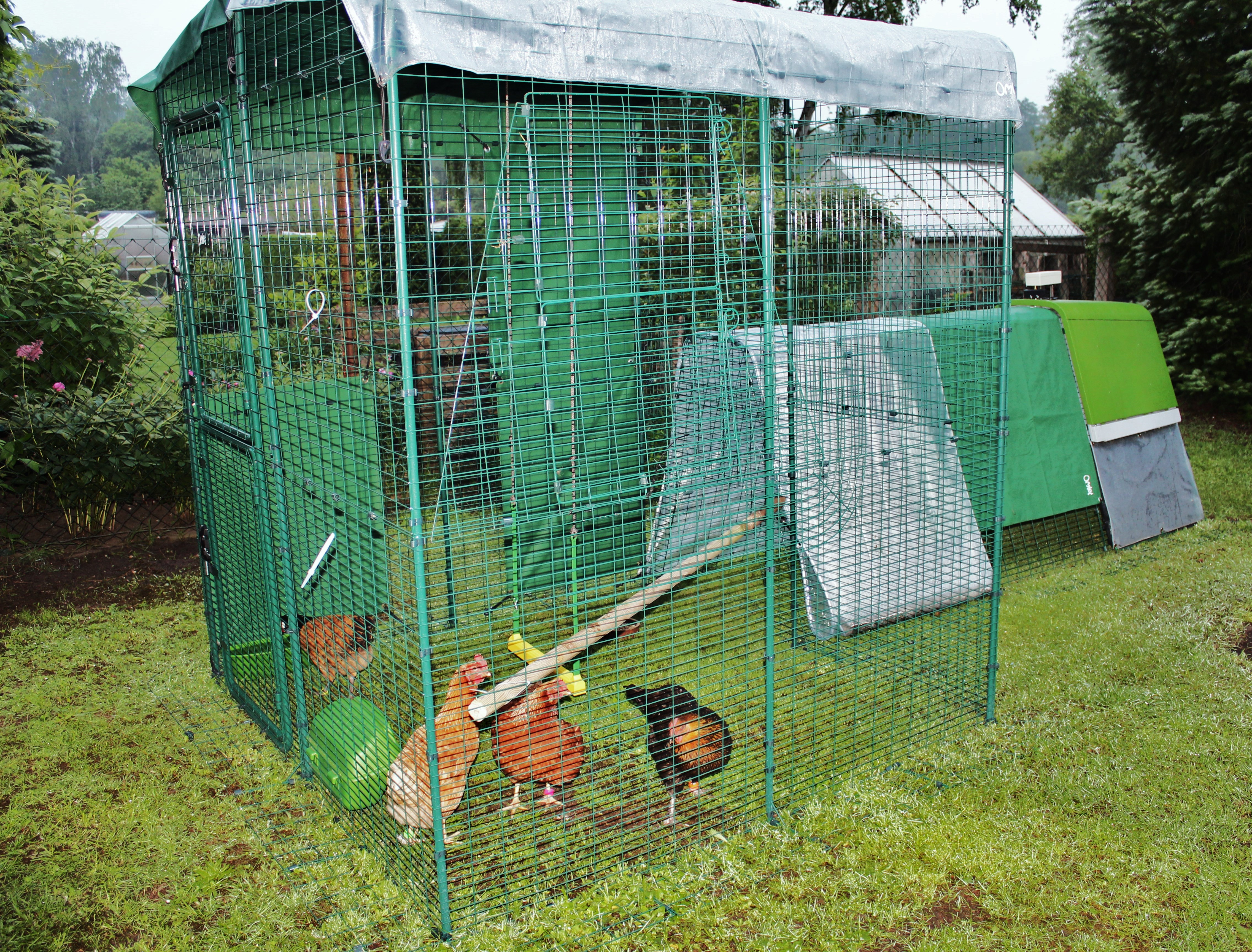 Grand enclos pour poules | Élevage des poules | Omlet