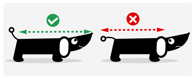 Guide des tailles du panier pour chien Topology / panier pour grand chien