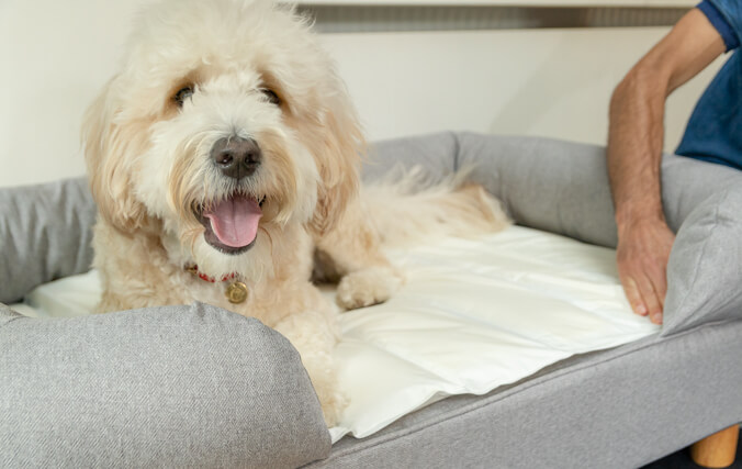 Bien qu’il soit déjà très confortable grâce à la mousse à mémoire de forme, le tapis rafraichissant peut être intégré à un lit Bolster pour encore plus de bien-être.