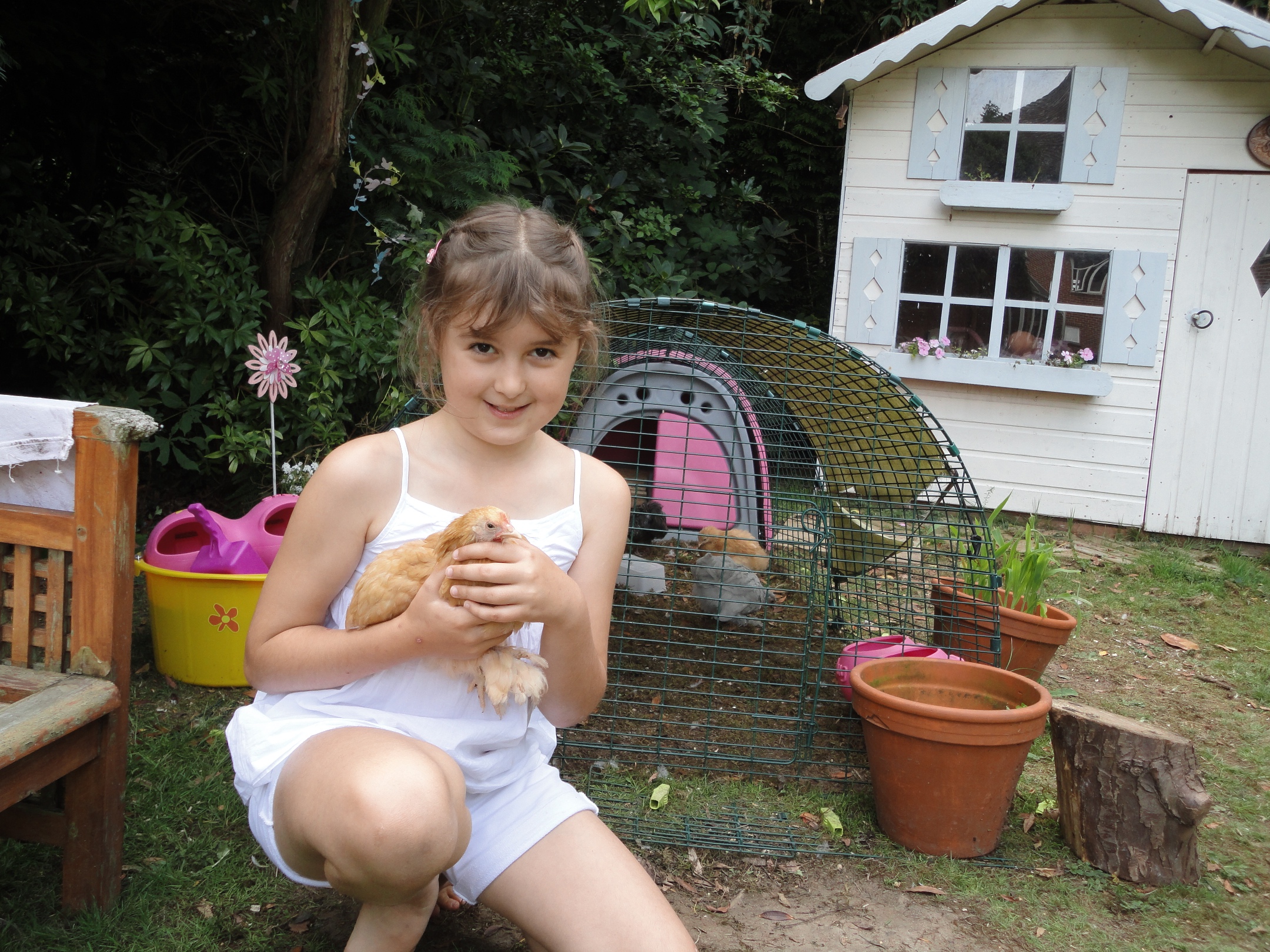 Si vos enfants ont pris l'habitude de manipuler vos poules depuis qu'elles ne sont que des poussins, elles seront très domestiquées