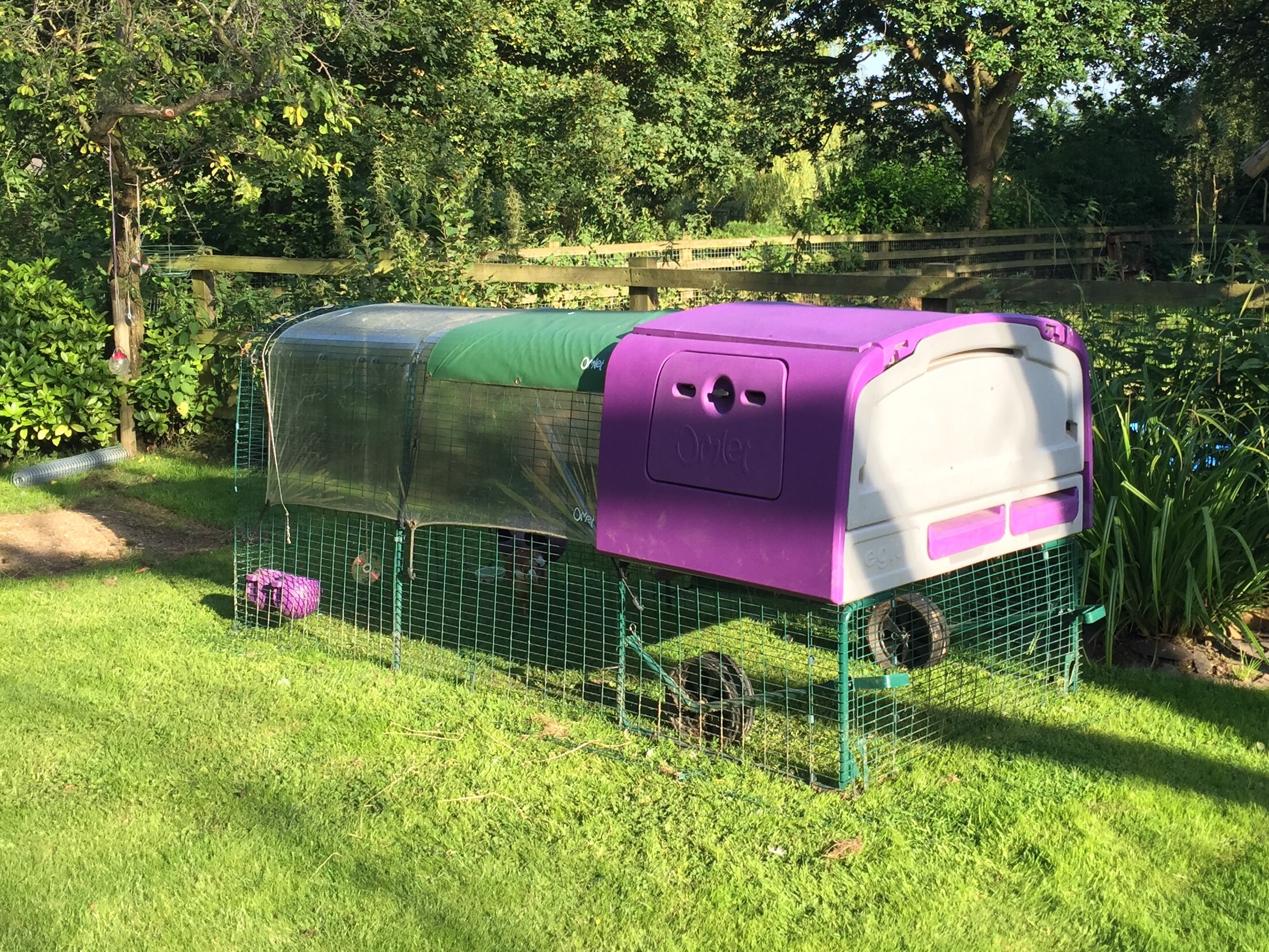 Poulailler Eglu Cube Elevage des poules Omlet