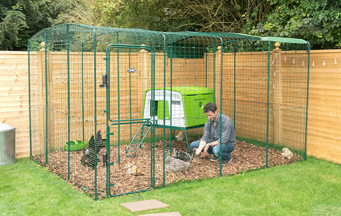 homme avec ses poules à l’intérieur d’un grand enclos