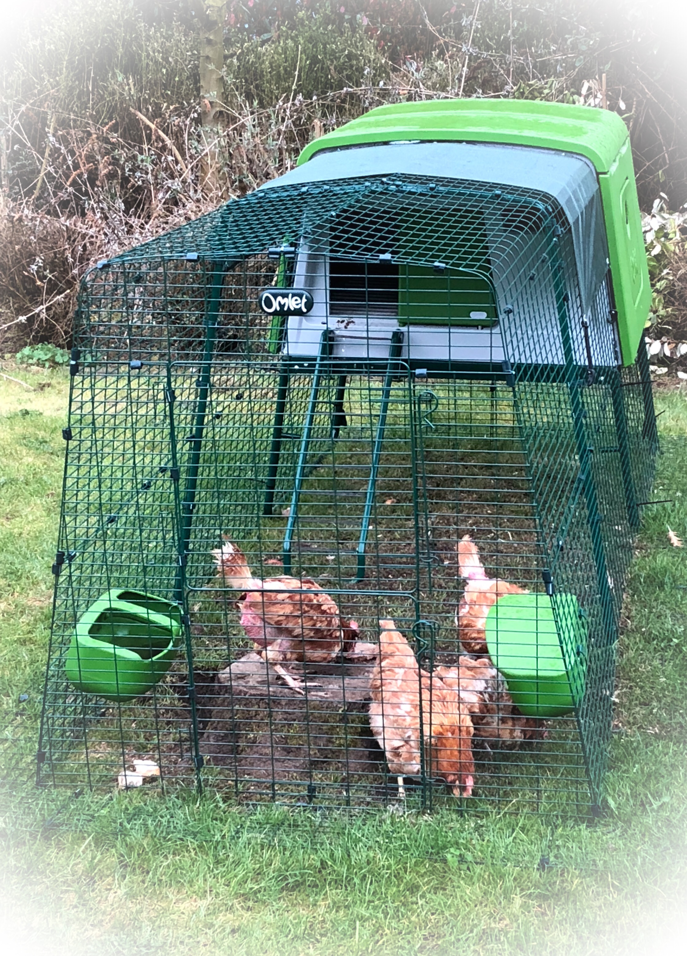 Nouveau Grand Poulailler Eglu Cube Élevage des poules Omlet