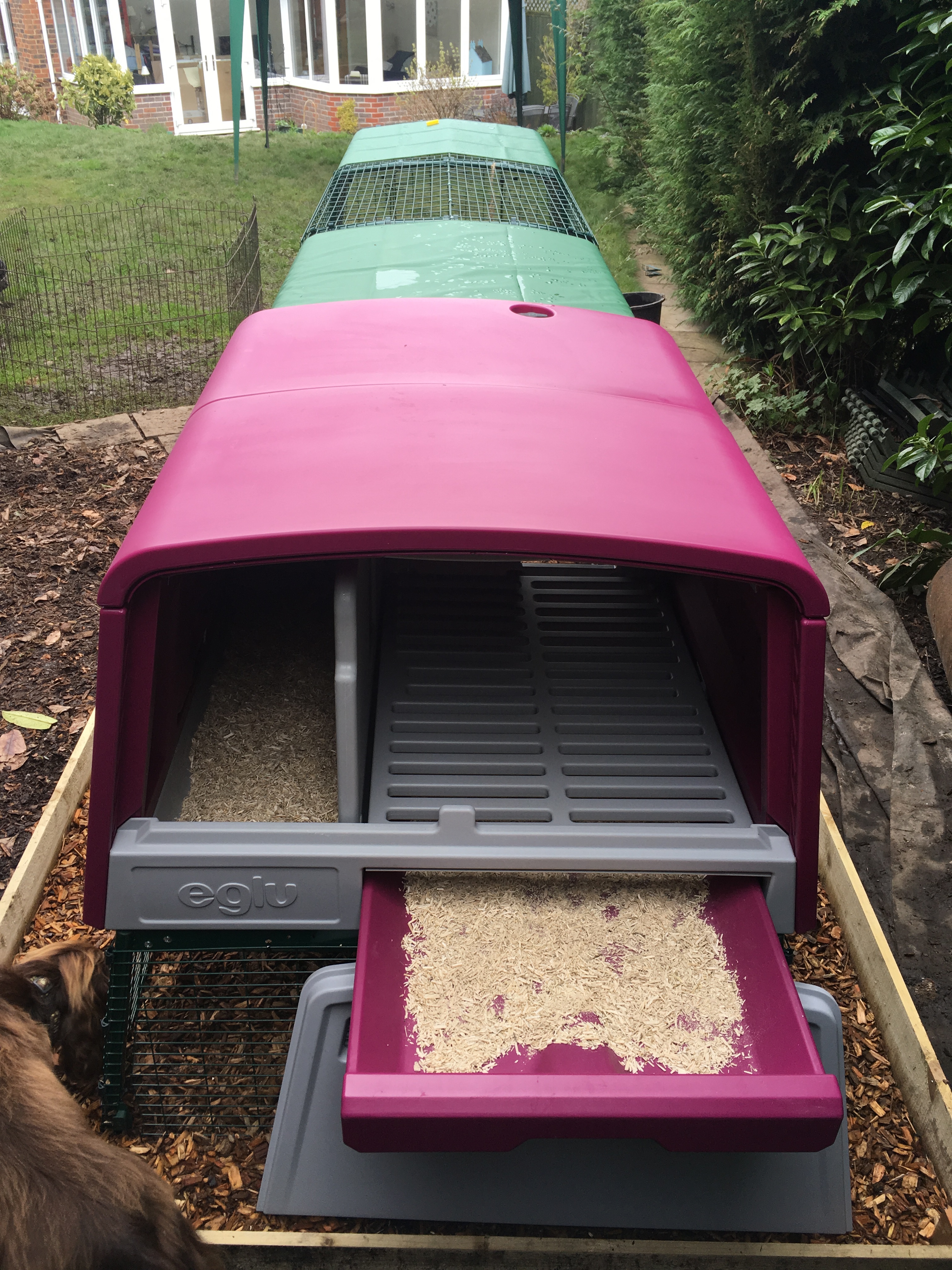 Nouveau Grand Poulailler Eglu Cube Élevage des poules Omlet