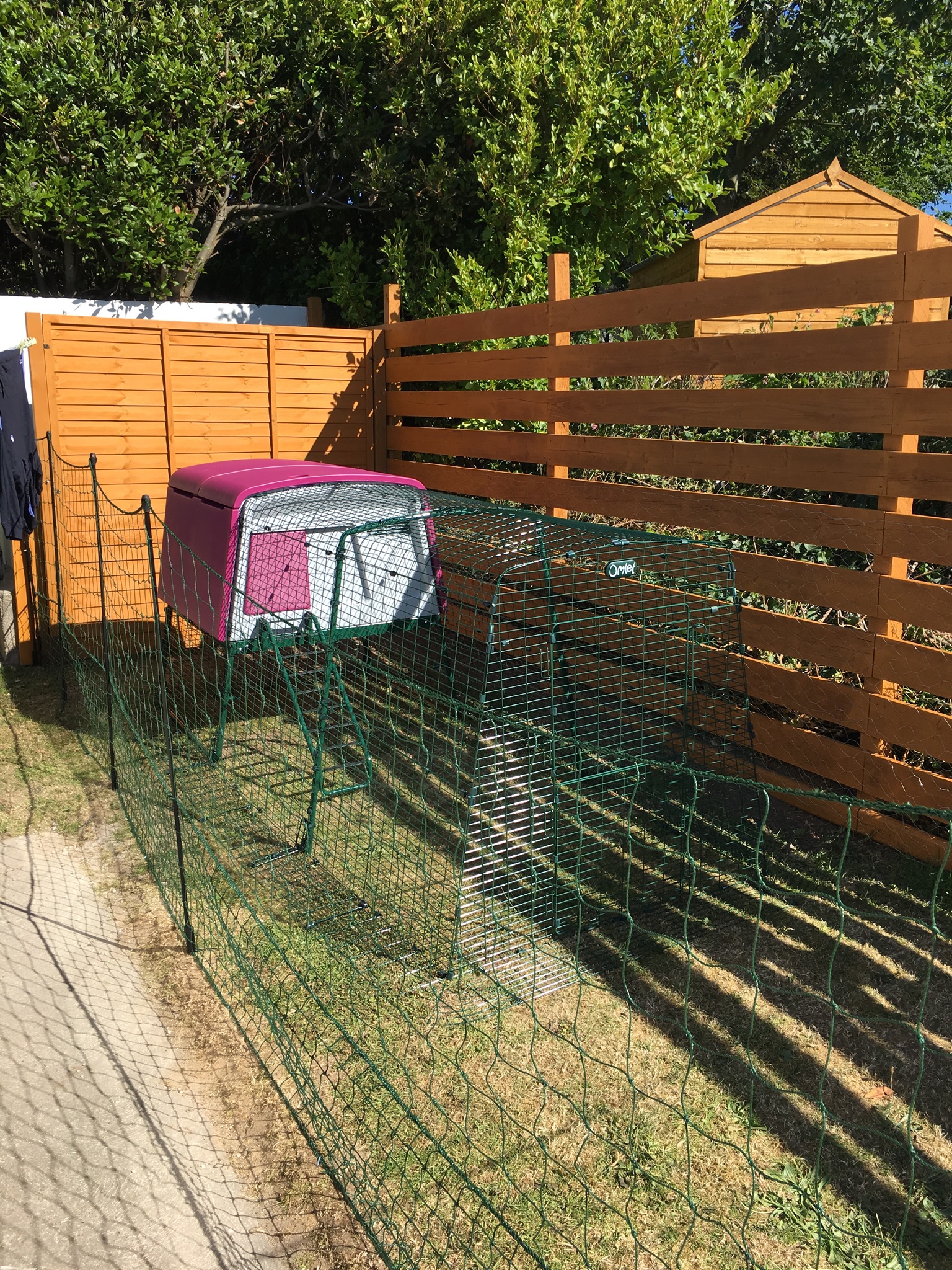 Nouveau Grand Poulailler Eglu Cube Élevage des poules Omlet