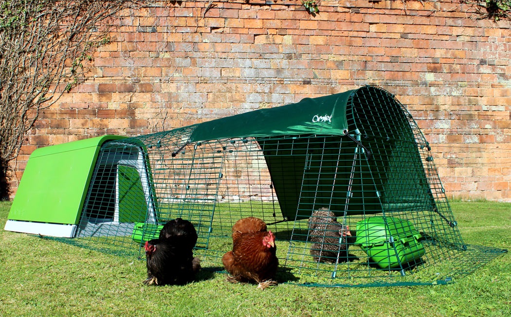 L’enclos est équipé d’une porte déplaçable pour que vos poules puissent sortir gambader dans le jardin.