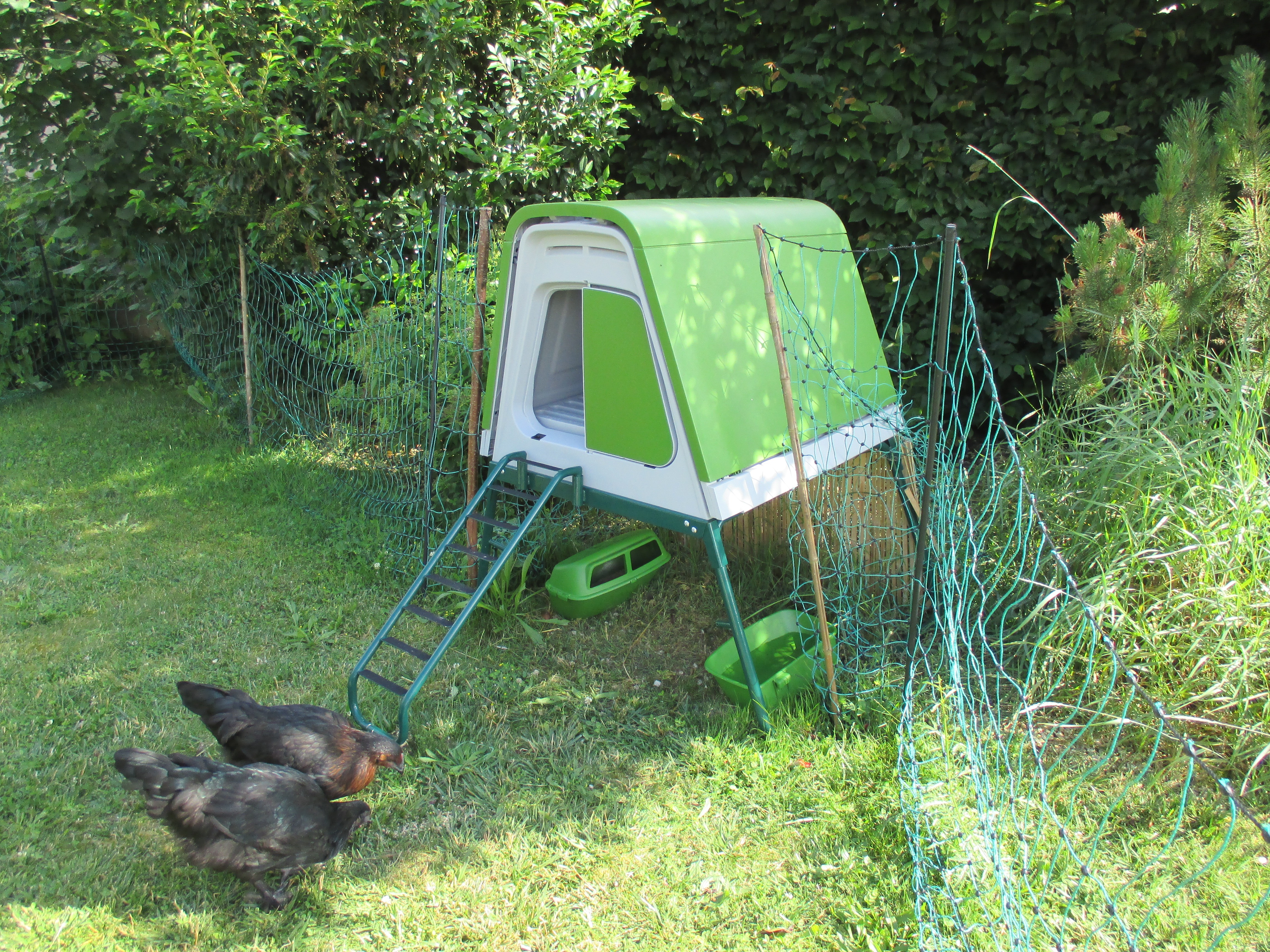 Le Poulailler Révolutionnaire Pour Avoir Des Poules Dans Votre Jardin