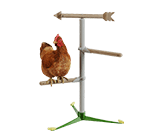 Perchoir pour poules sur pied