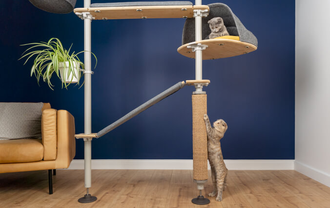 Arbre à chat d’intérieur peu encompbrant qui peut être installé n’importe où
