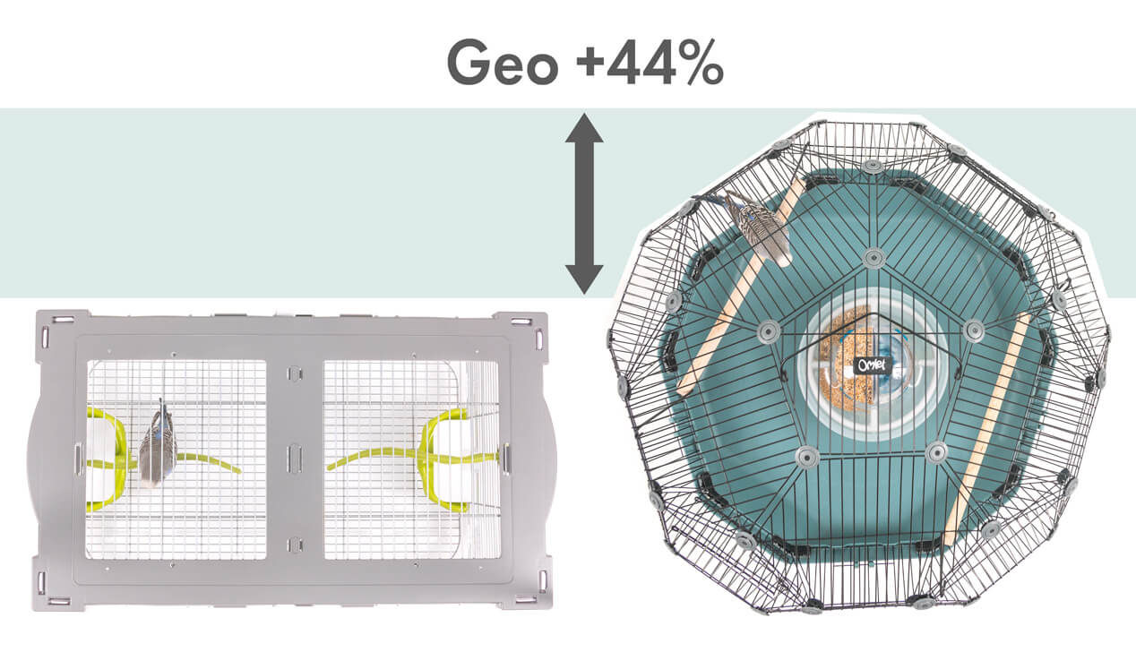 A graphic showing that the Geo Bird Cage provides 44% more space for birds than a traditional budgie cage of comparable width