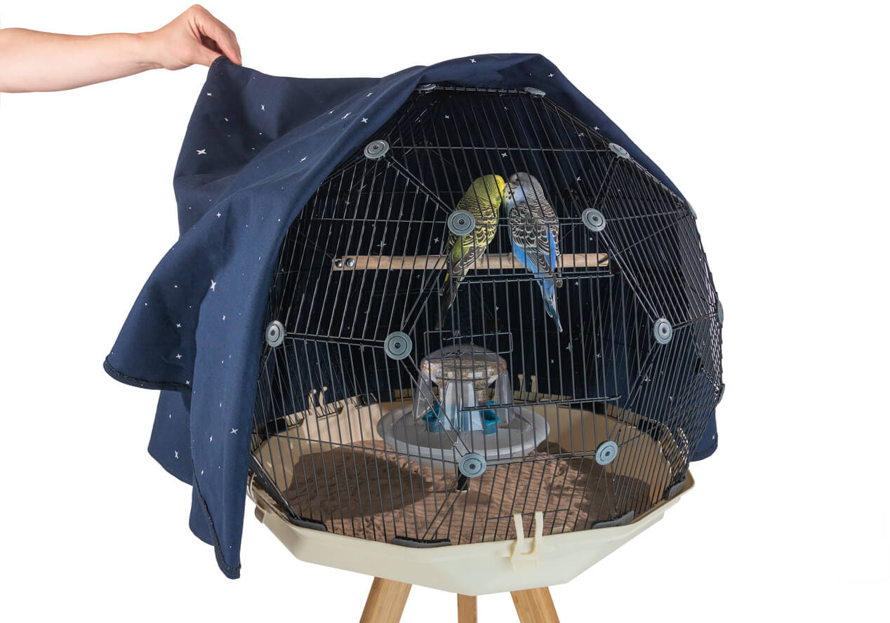 Two budgies on a perch within the Geo Bird Cage with the night cover peeled back half way