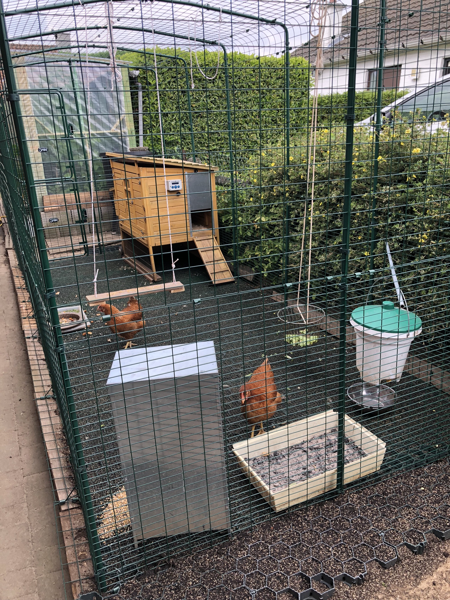 Grand Enclos Pour Poules | Poulaillers, Grand Enclos, Filet à poules et ...