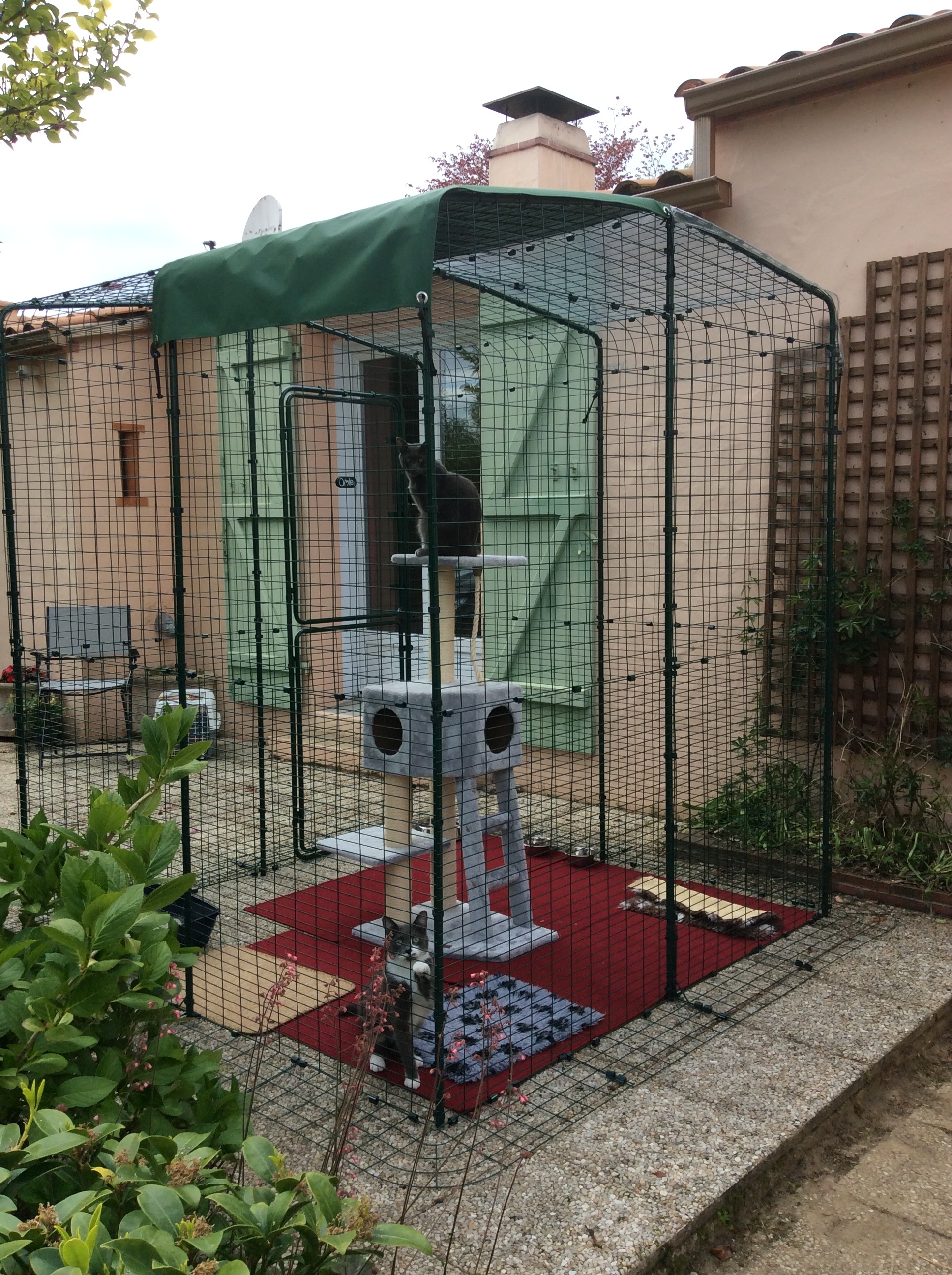 Grand enclos pour chats Chats Omlet