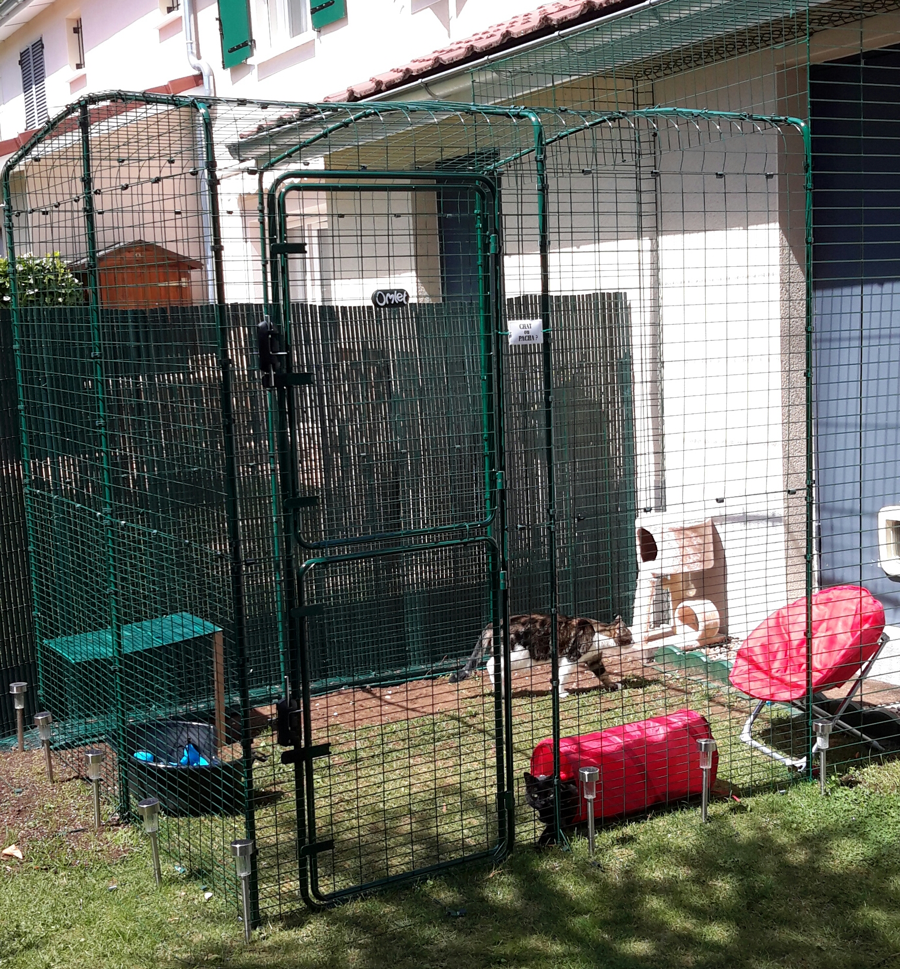 Grand enclos pour chats Chats Omlet