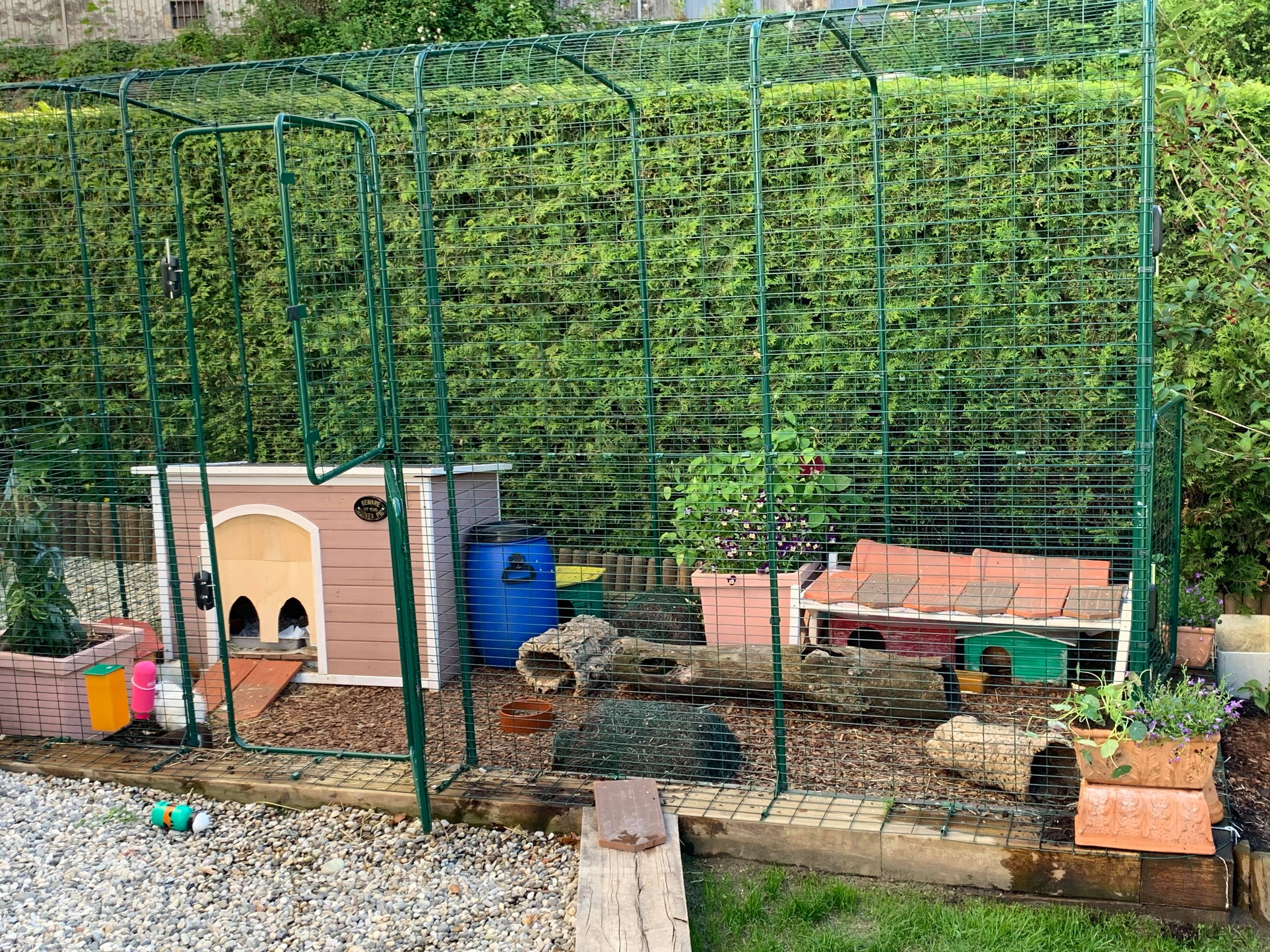Enclos Exterieur Cochon D'inde Fait Maison