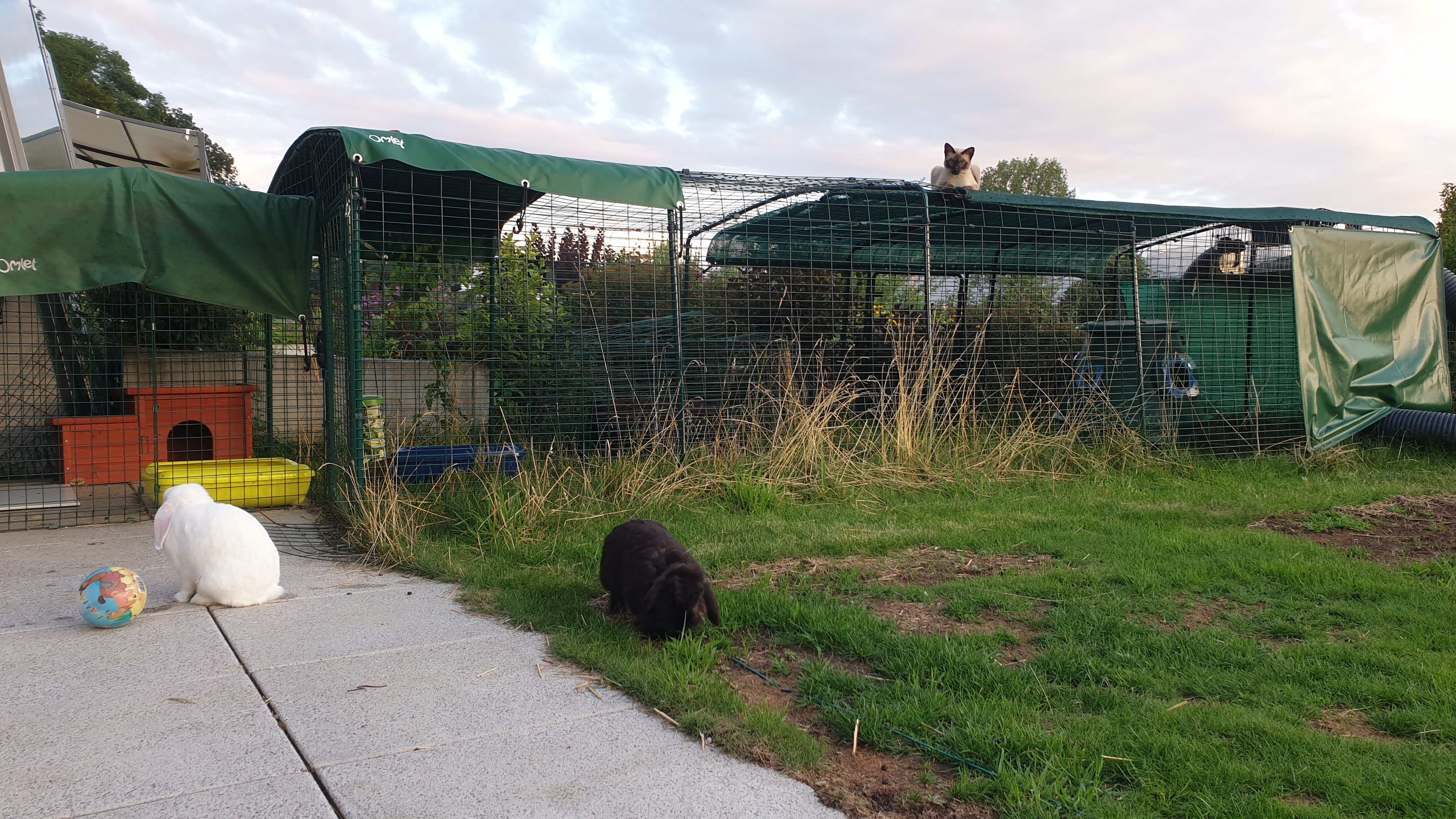 Enclos Pour Lapin Fait Maison | Ventana Blog