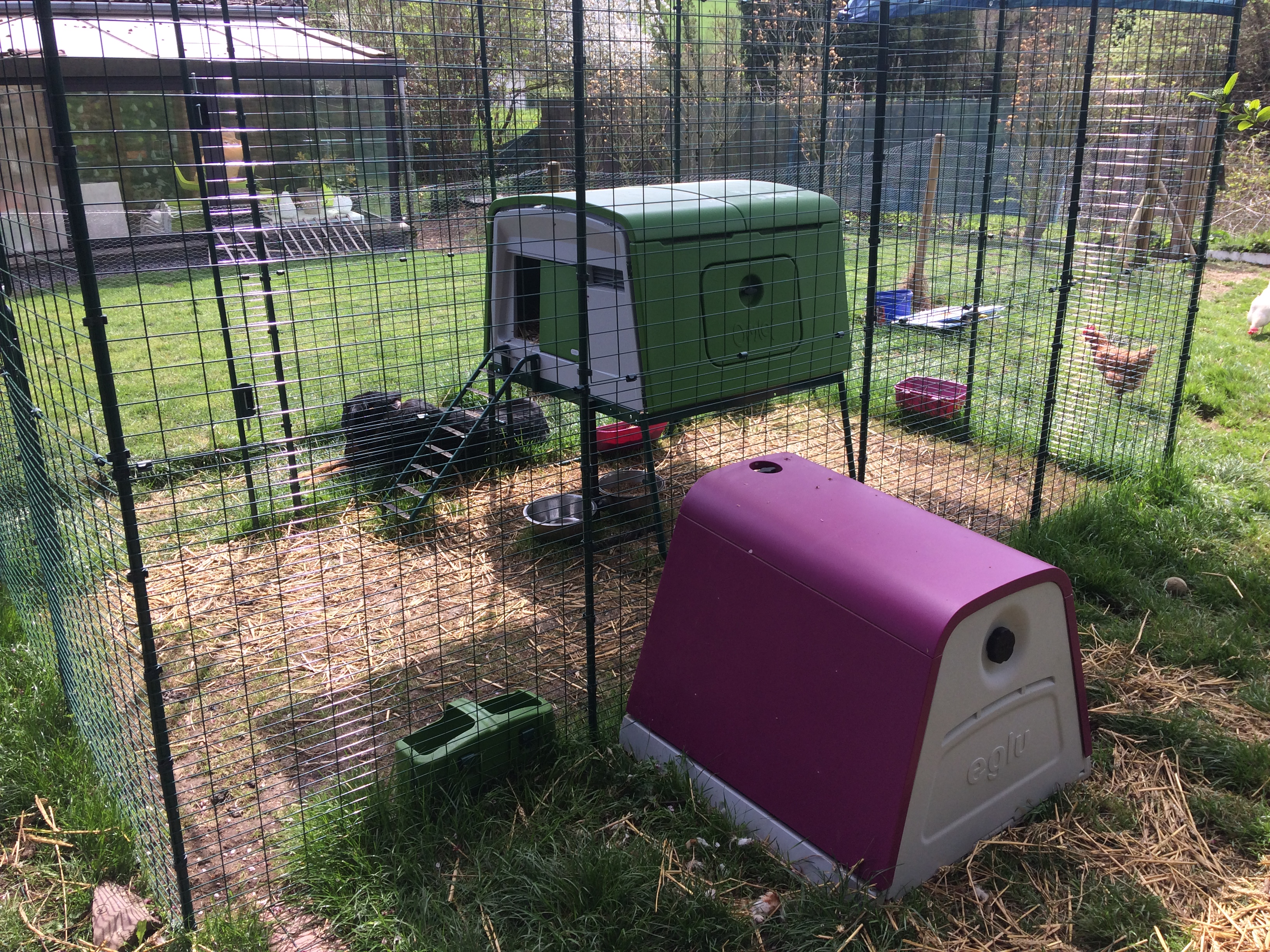 Extensions Pour Grand Enclos Pour Poules Poulaillers Grand Enclos