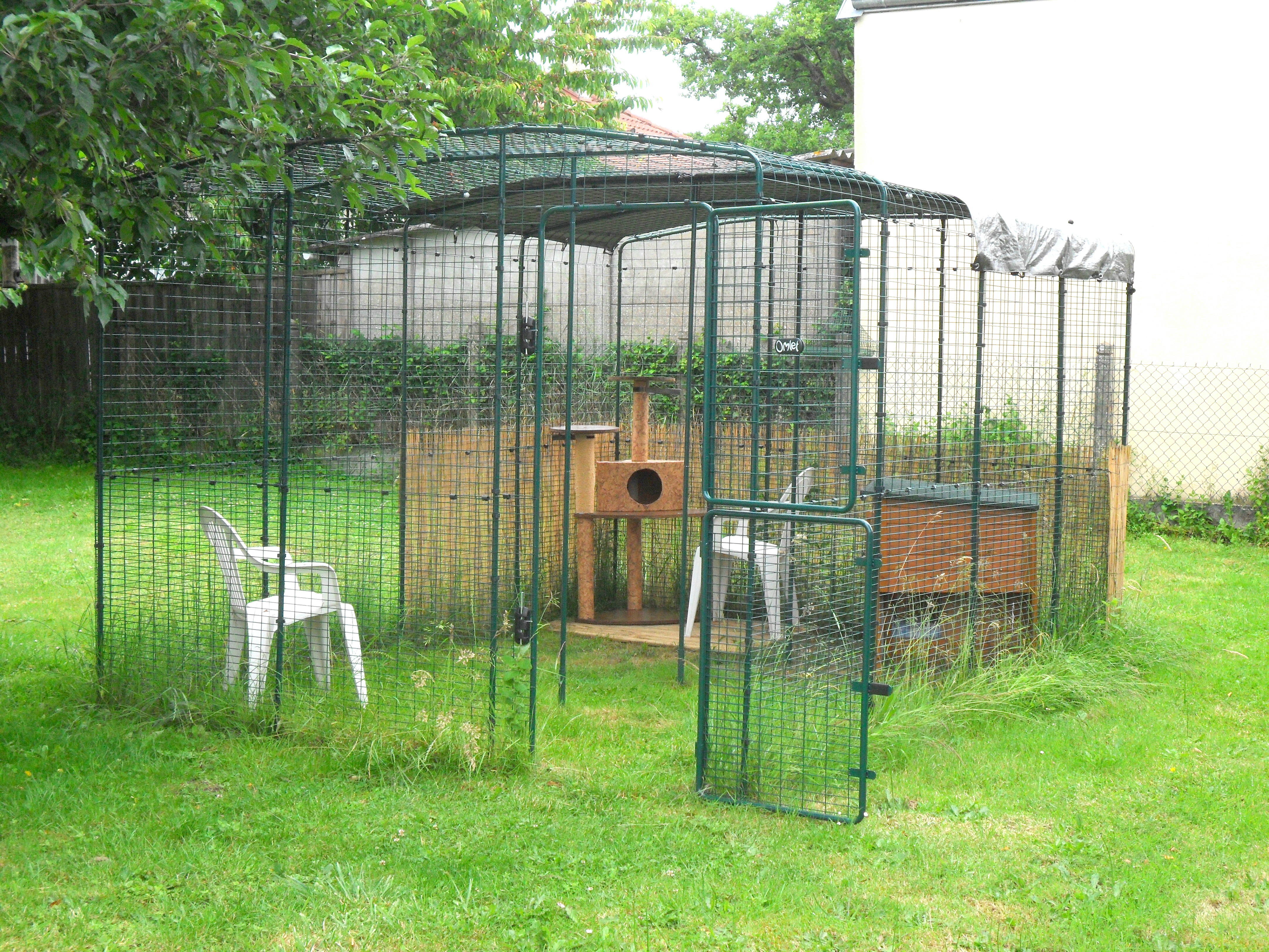Comment Fabriquer Un Enclos Pour Chat Grand Enclos Pour Chats | Grand Enclos d'extérieur, Griffoirs et Arbres