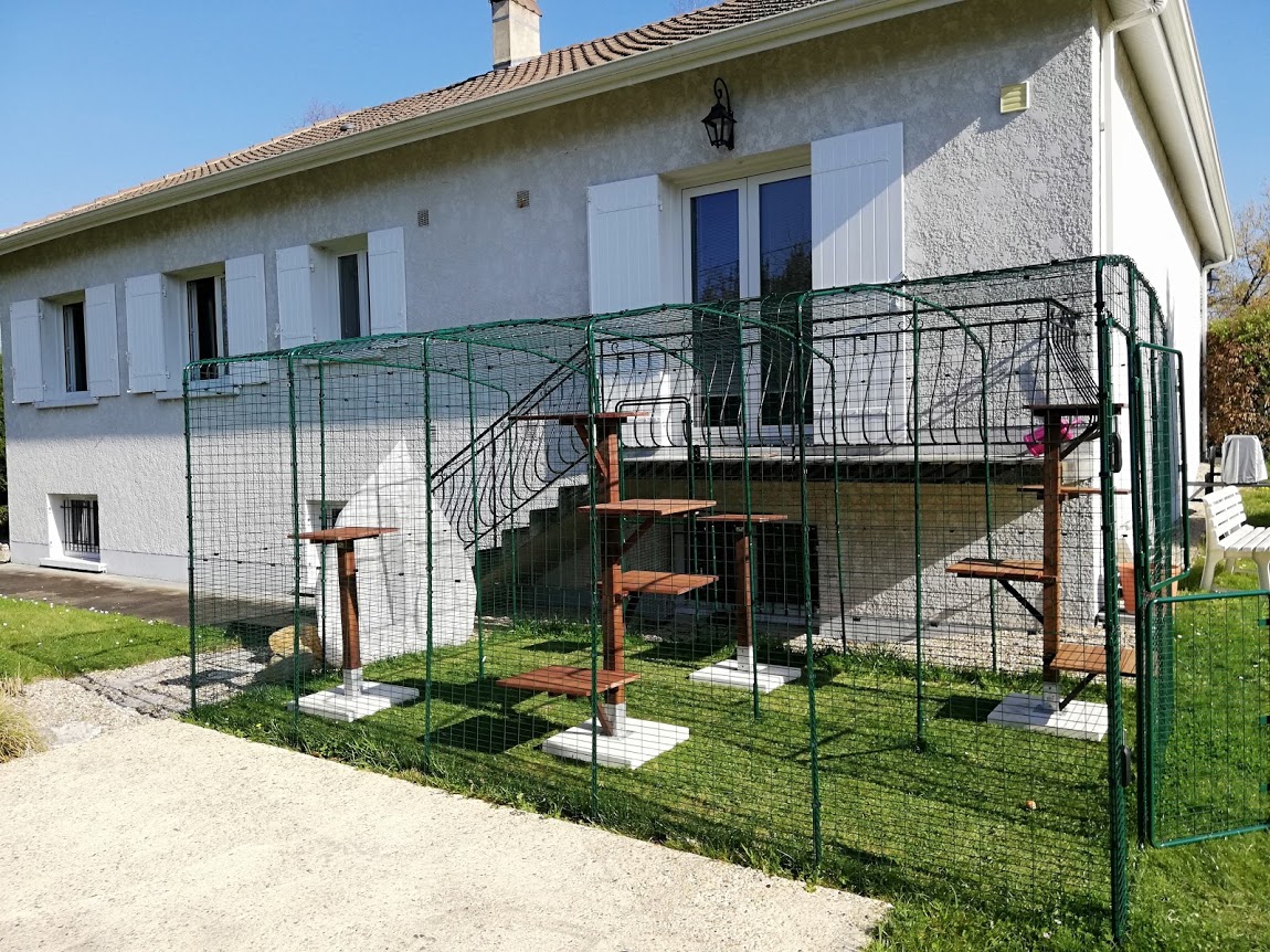 Grand Enclos Pour Chats Grand Enclos d