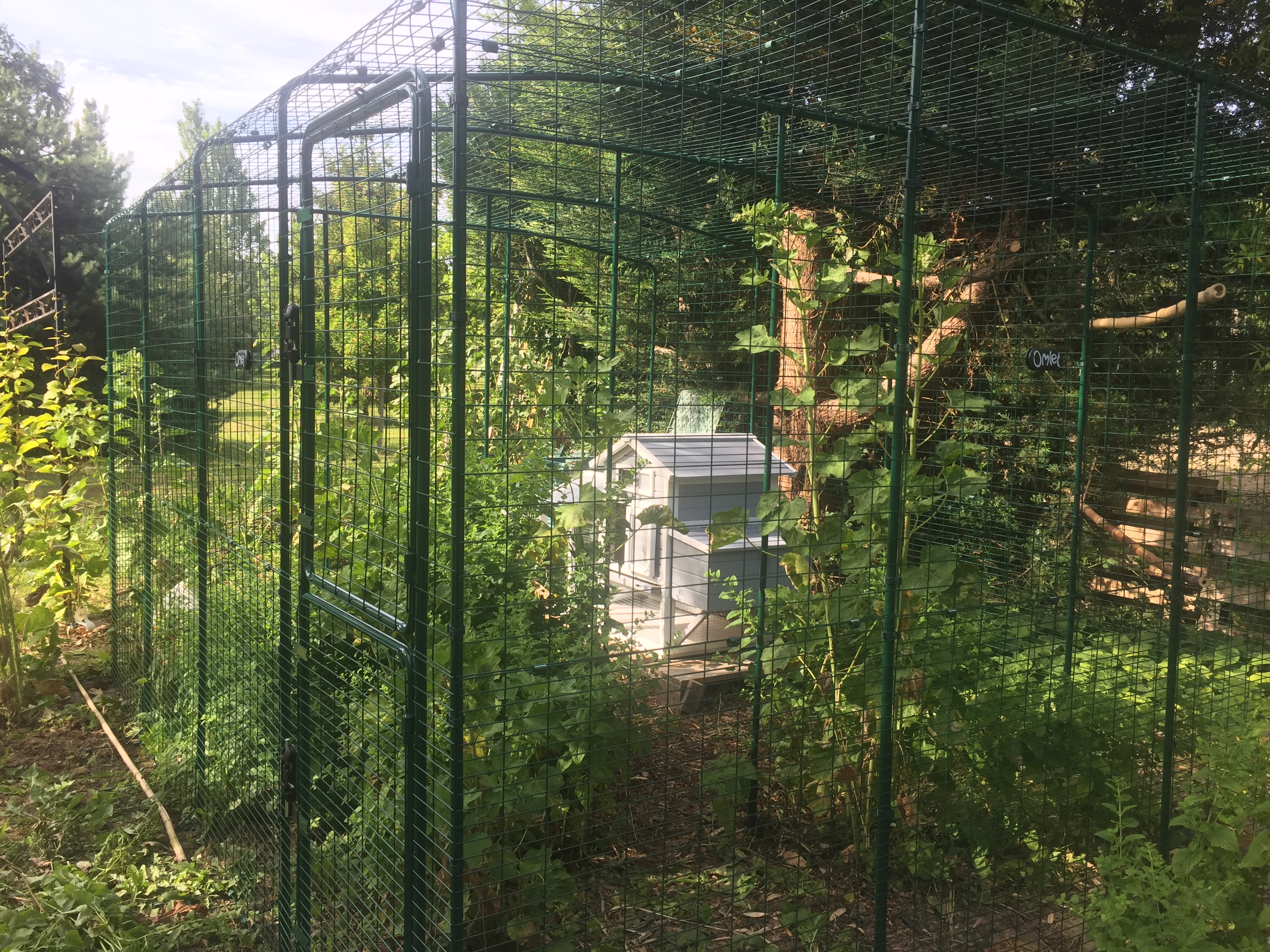 Grand Enclos Pour Poules 2m X 2m X 1m