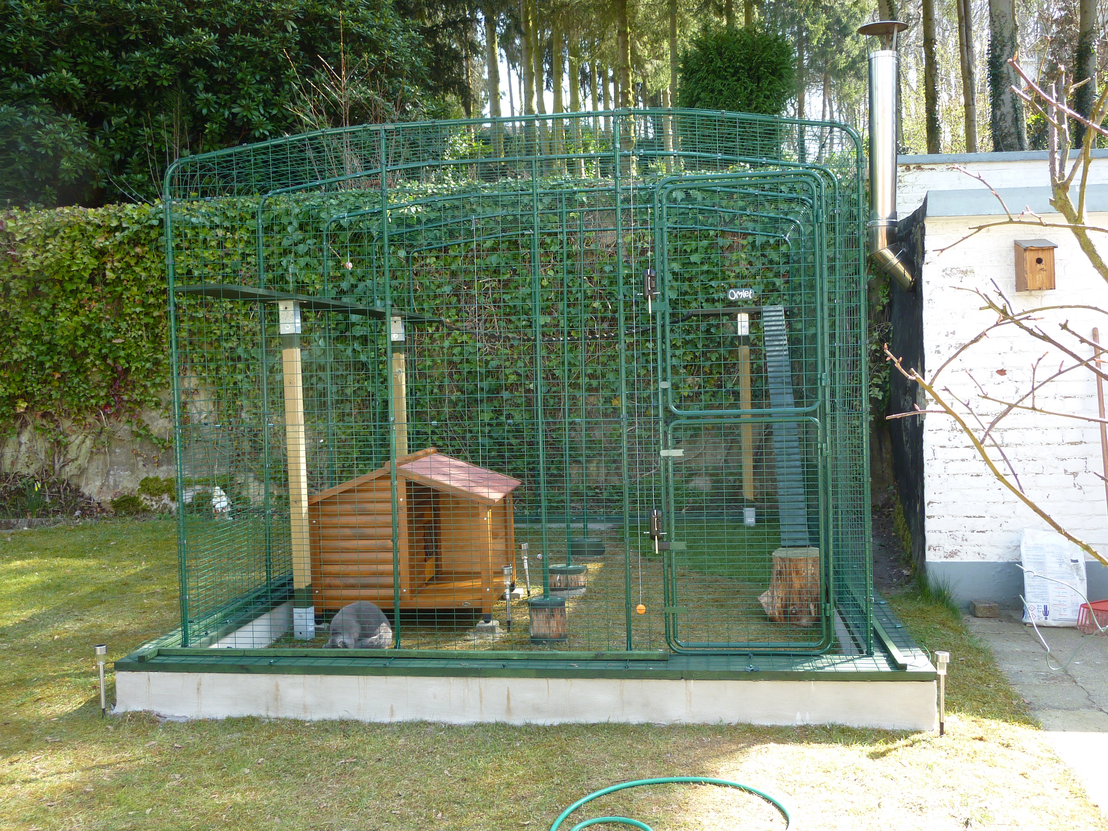 Comment Fabriquer Un Enclos Pour Chat Grand enclos pour chats | Chats | omlet