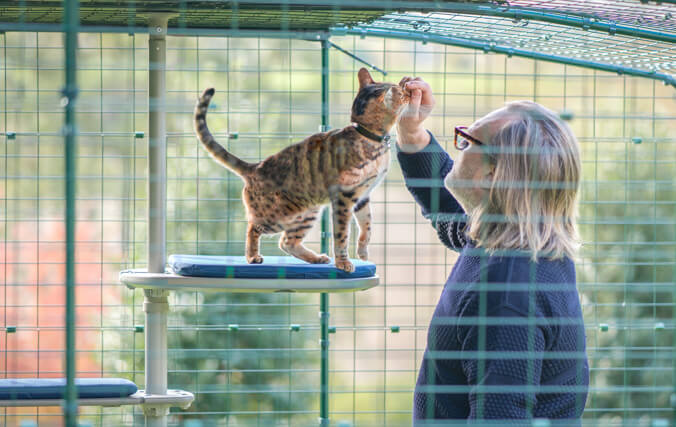Un homme et son chat à l’intérieur d’un enclos profitant de l’arbre à chat d’extérieur personnalisé
