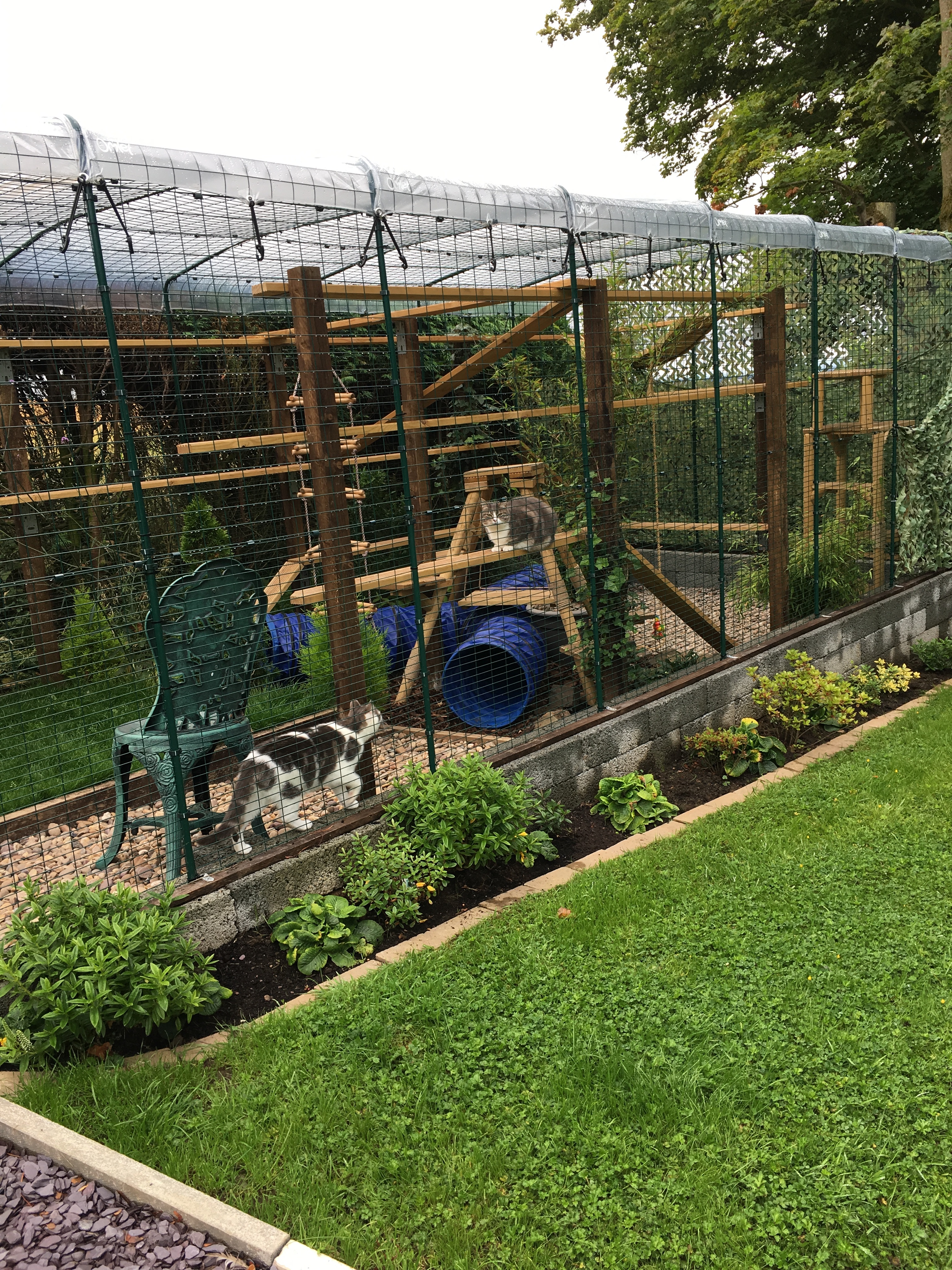 Comment Fabriquer Un Enclos Pour Chat Grand Enclos Pour Chats | Grand Enclos d'extérieur, Griffoirs et Arbres