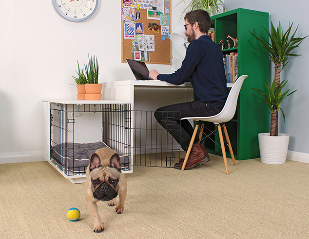 niche-chien-bureau