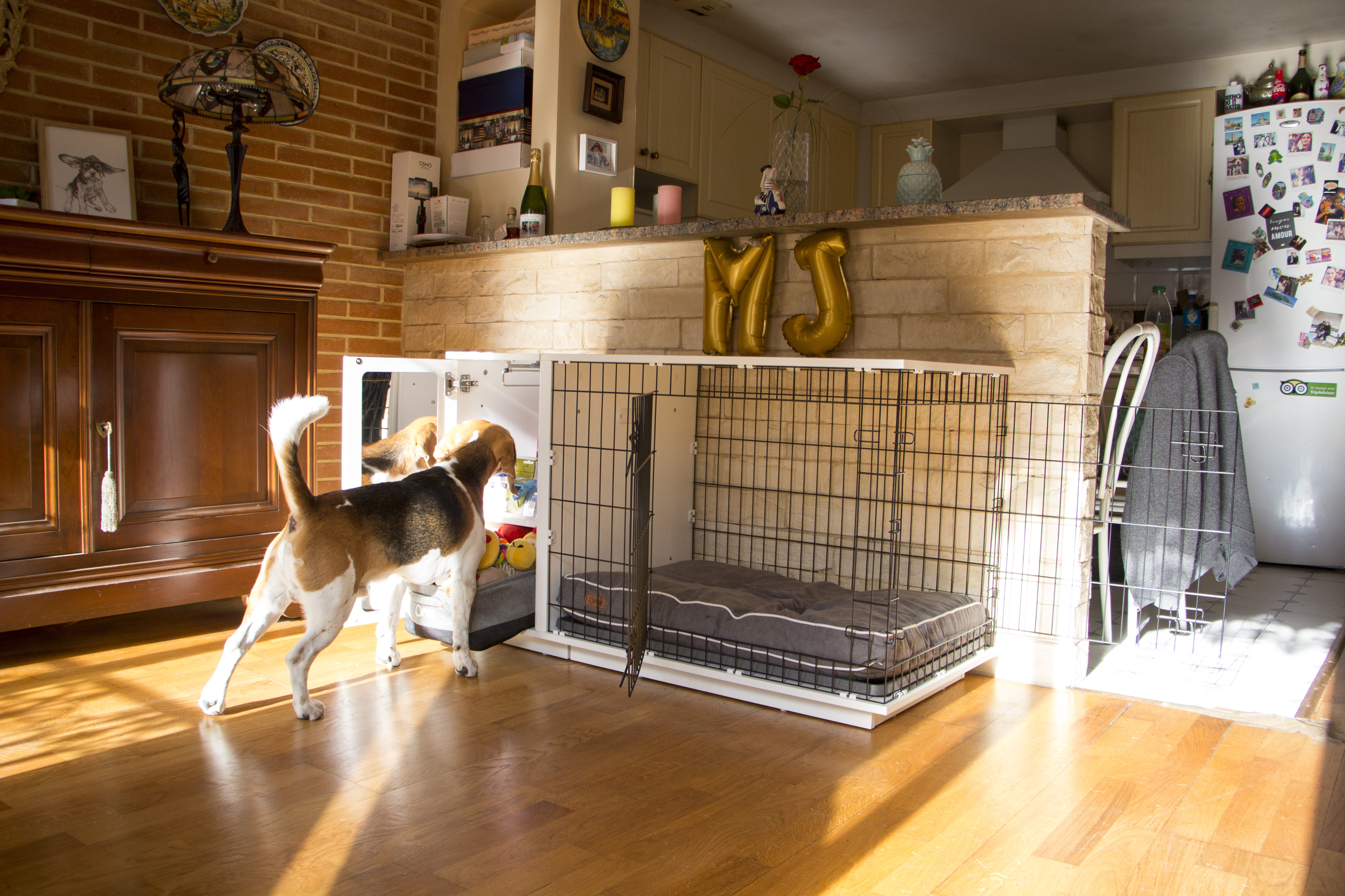 Avis client pour Niche d\'intérieur pour chiens Omlet Fido Studio ... Avis client pour Niche d\'intérieur pour chiens Omlet Fido Studio ...