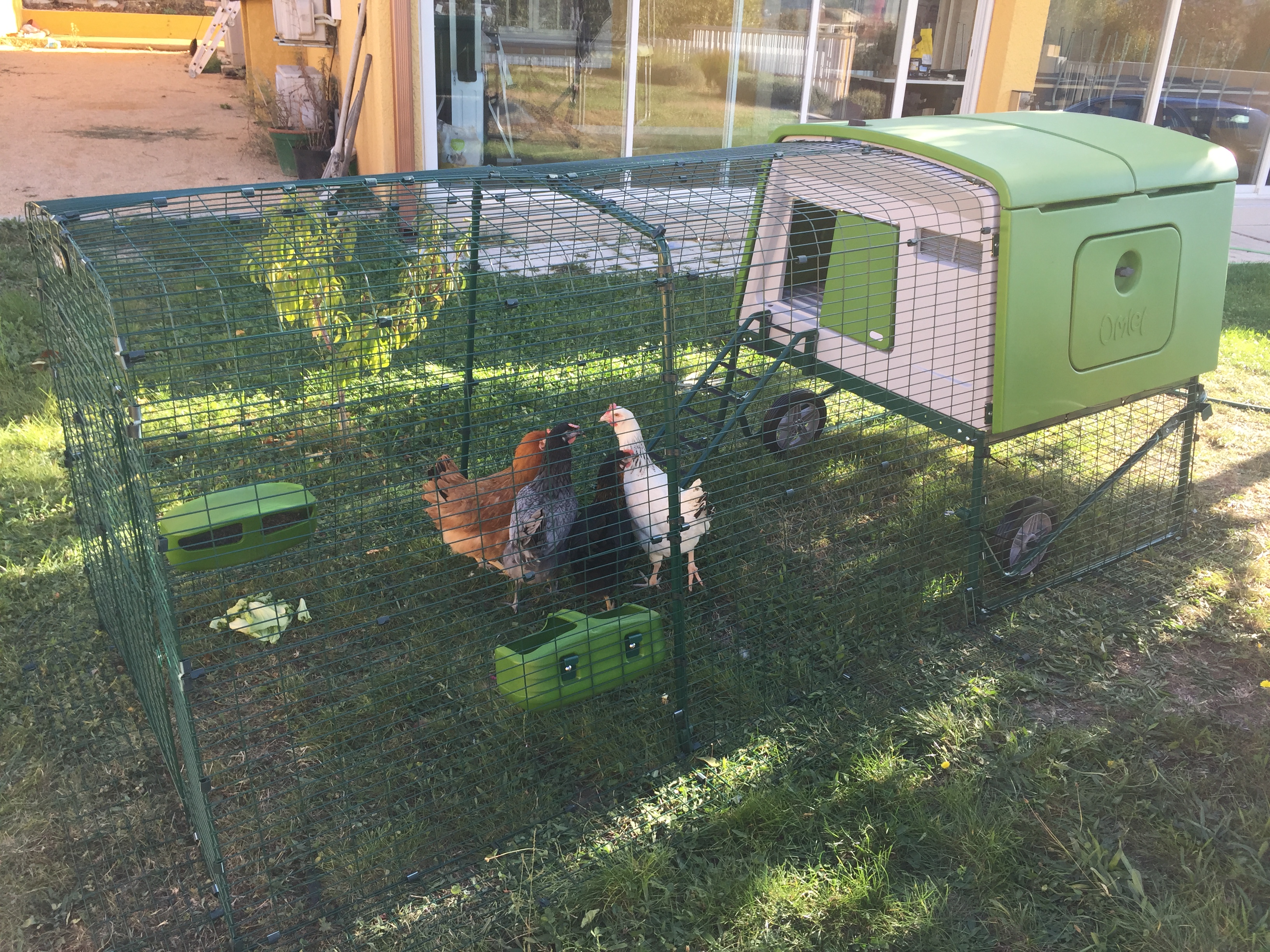 Nouveau Grand Poulailler Eglu Cube Élevage des poules Omlet