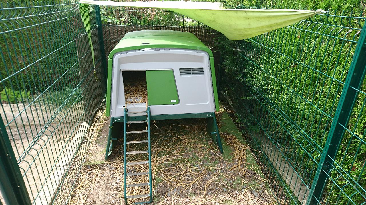 Poulailler Omlet Suisse Tedocinfo Diverses Collections Dimages