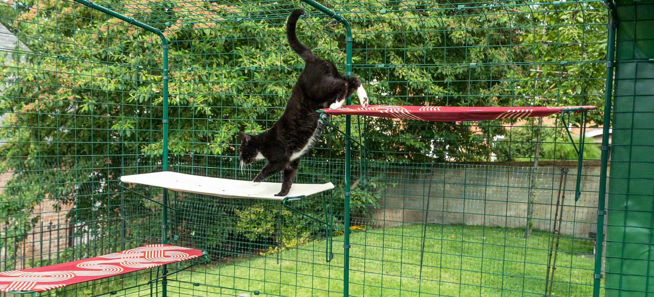 Chat qui grimpe sur des étagères pour chats en tissu Omlet dans un catio d’extérieur dans le jardin