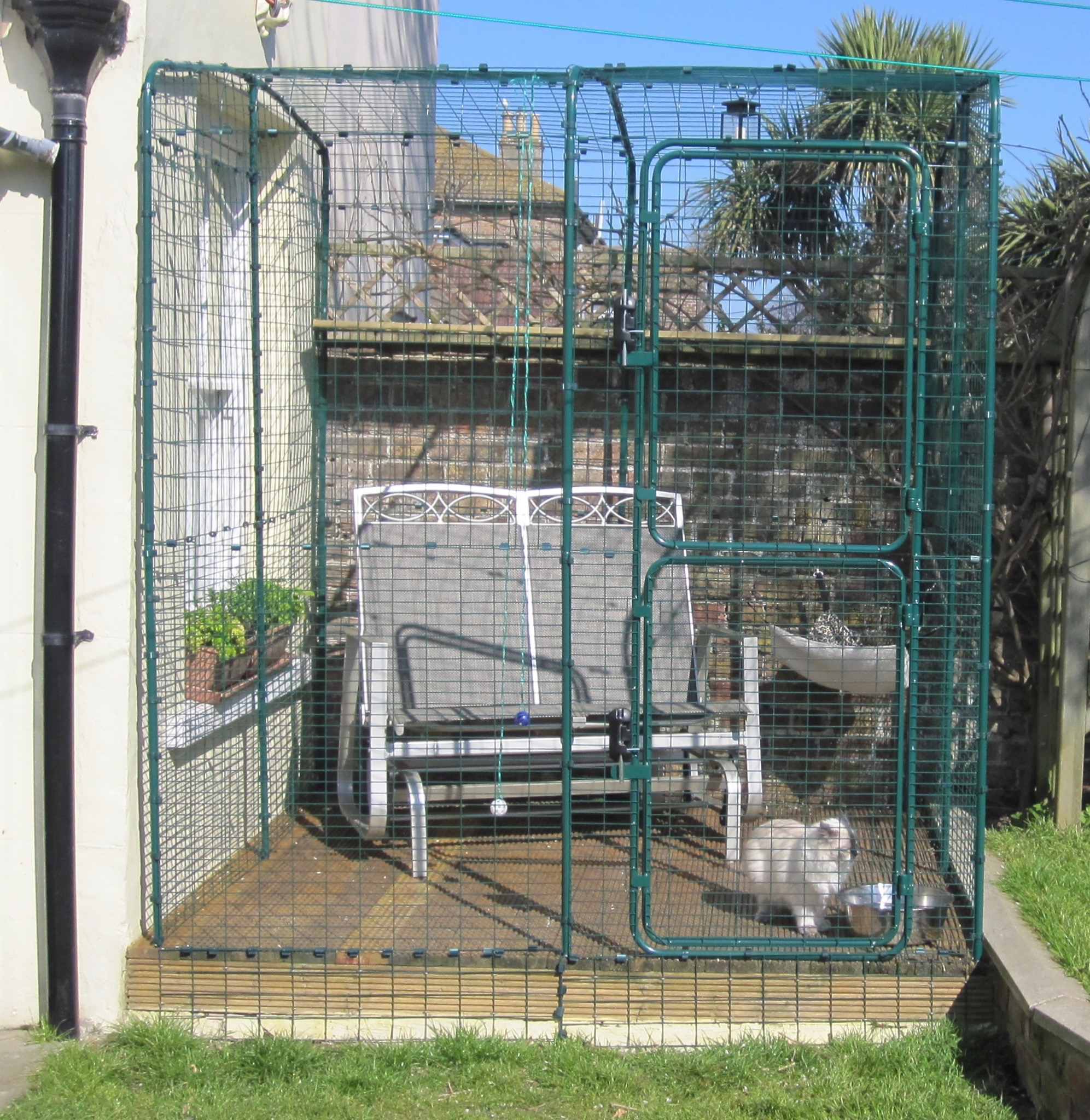 Grand enclos pour chats Chats omlet