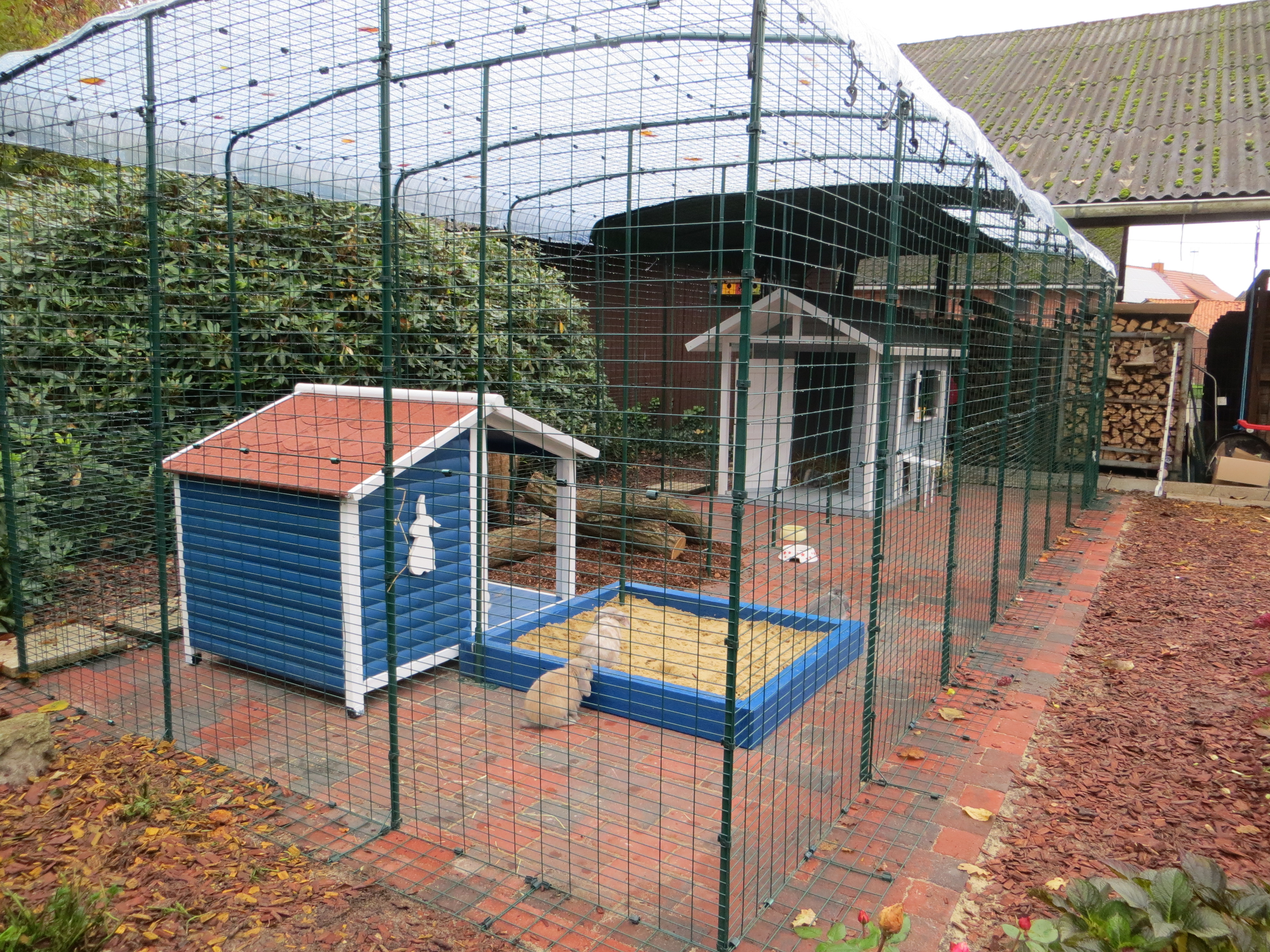 Grand Enclos Pour Lapins Clapiers, Enclos et Tunnels pour lapins Omlet