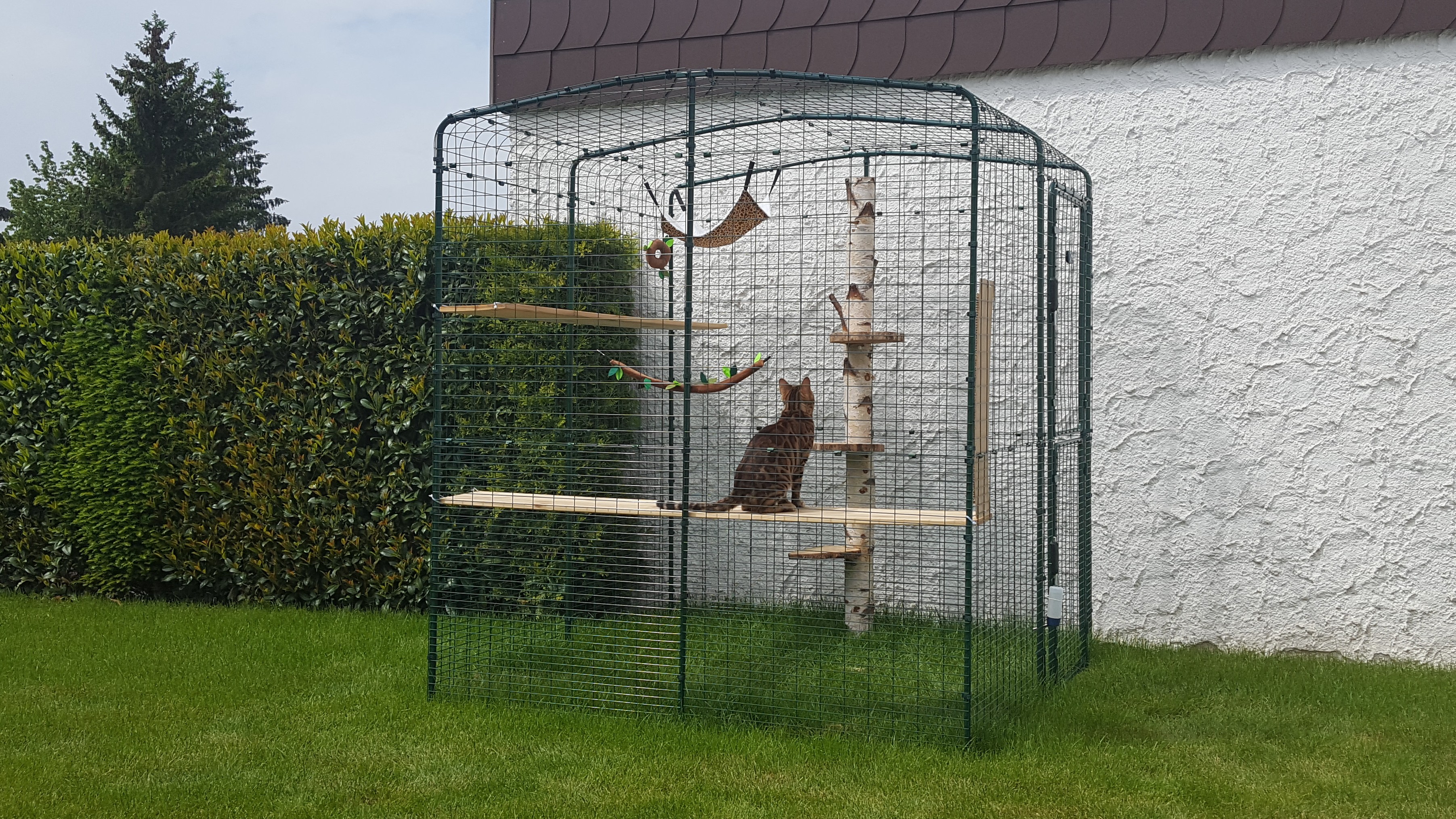 Comment Fabriquer Un Enclos Pour Chat Grand Enclos Pour Chats | Grand Enclos d'extérieur, Griffoirs et Arbres
