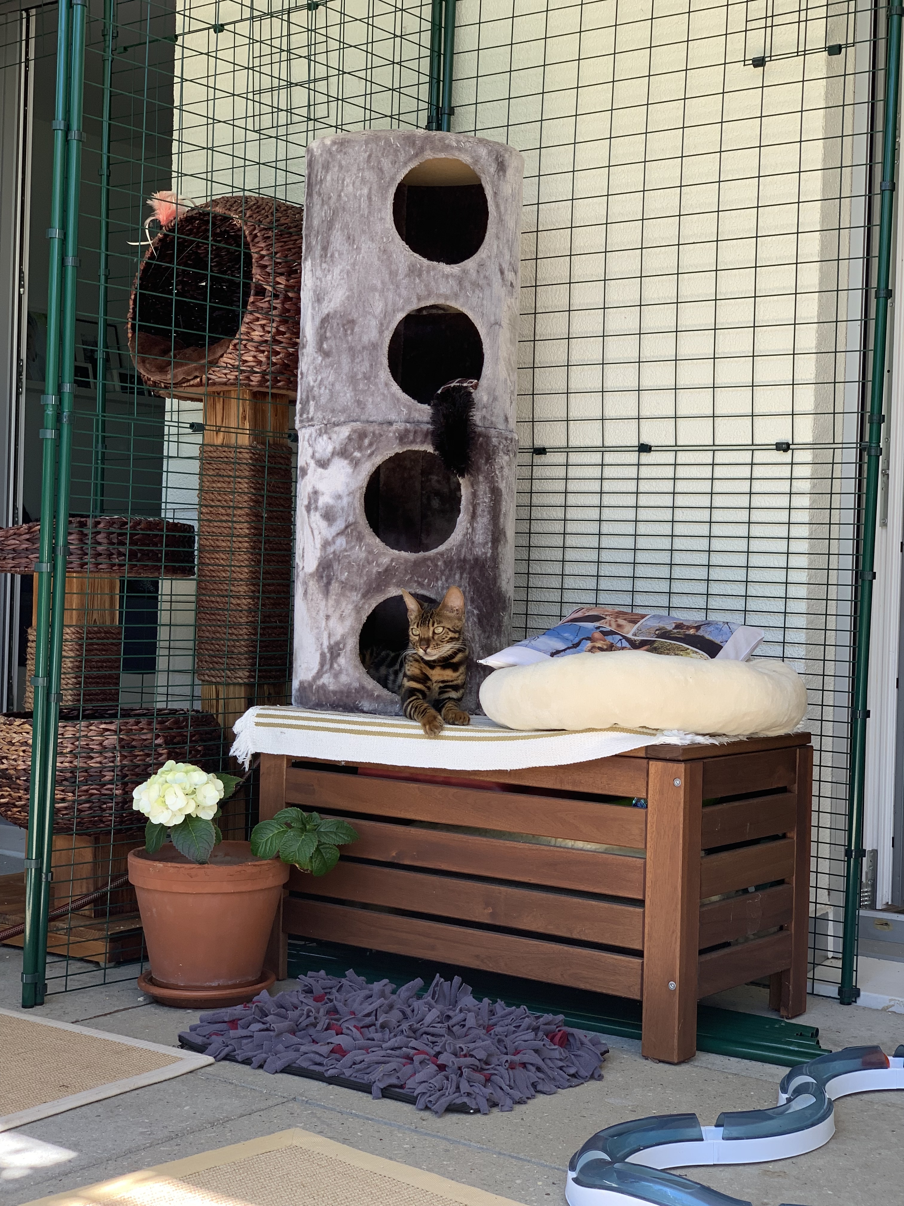 Grand Enclos Pour Chats Grand Enclos d