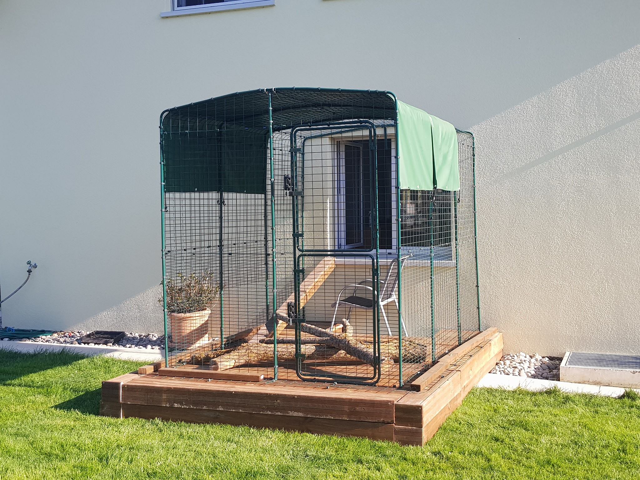 Grand enclos pour chats Chats Omlet