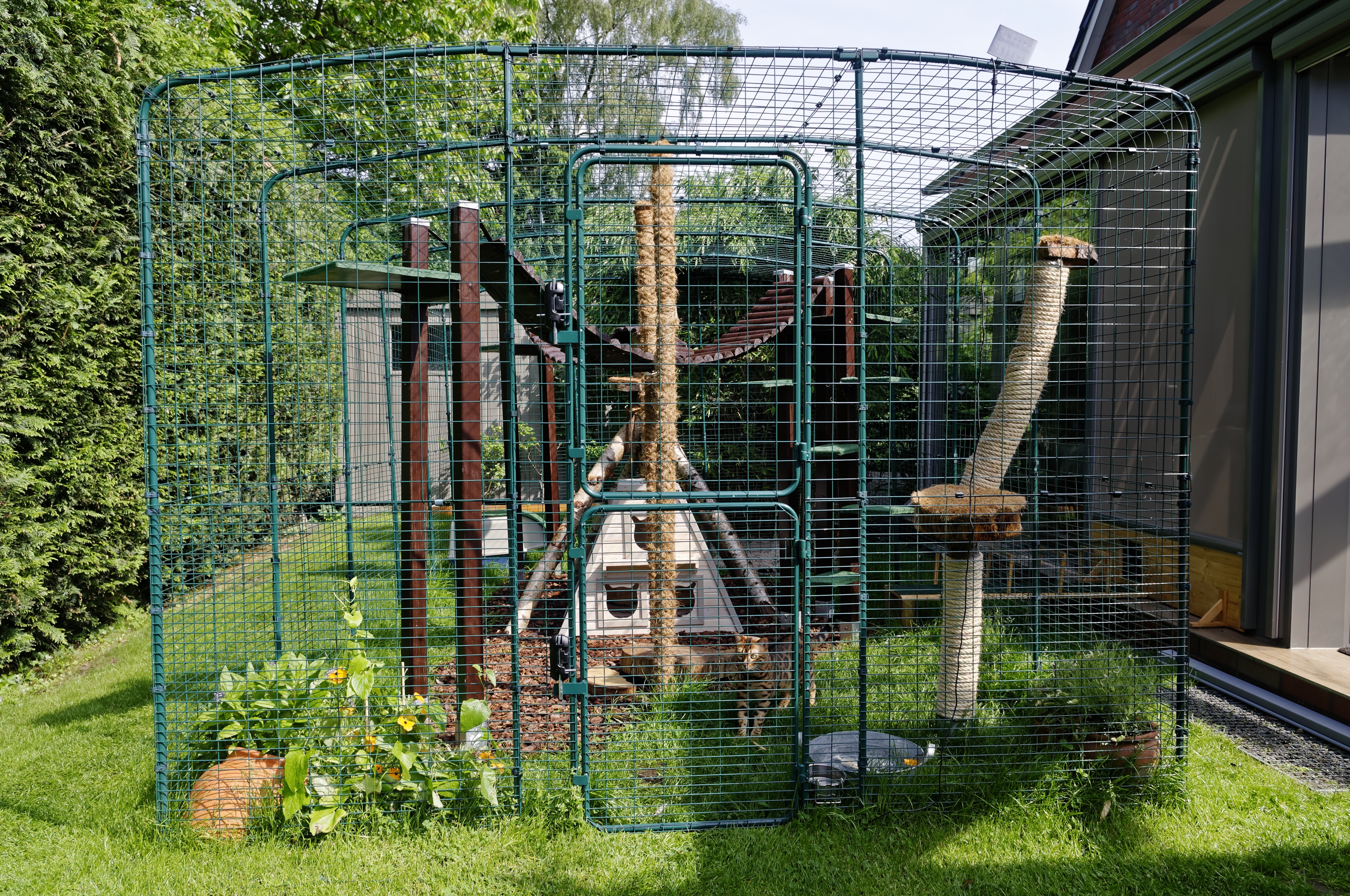 Grand enclos pour chats Chats omlet