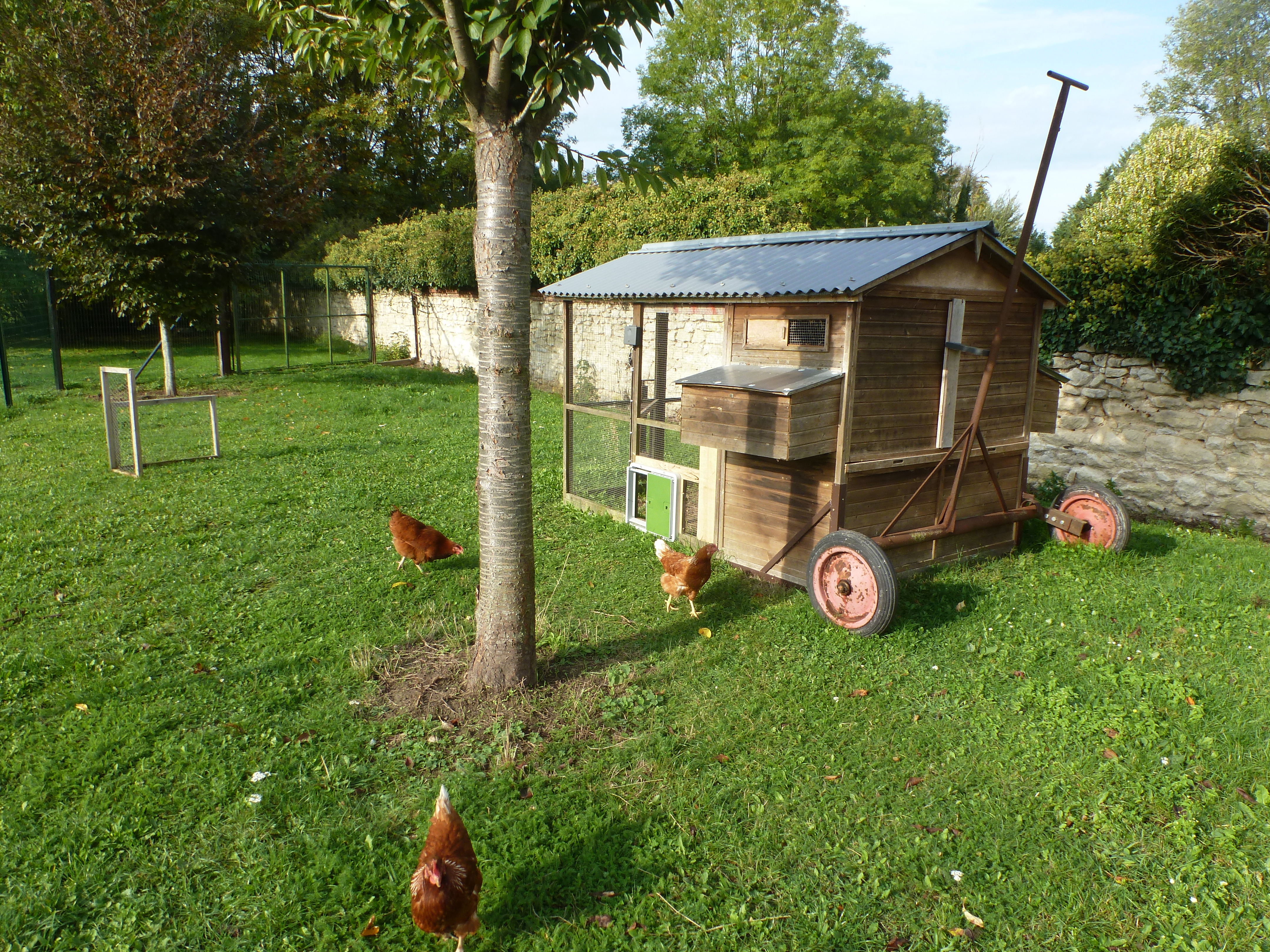 Porte automatique pour poulailler universelle