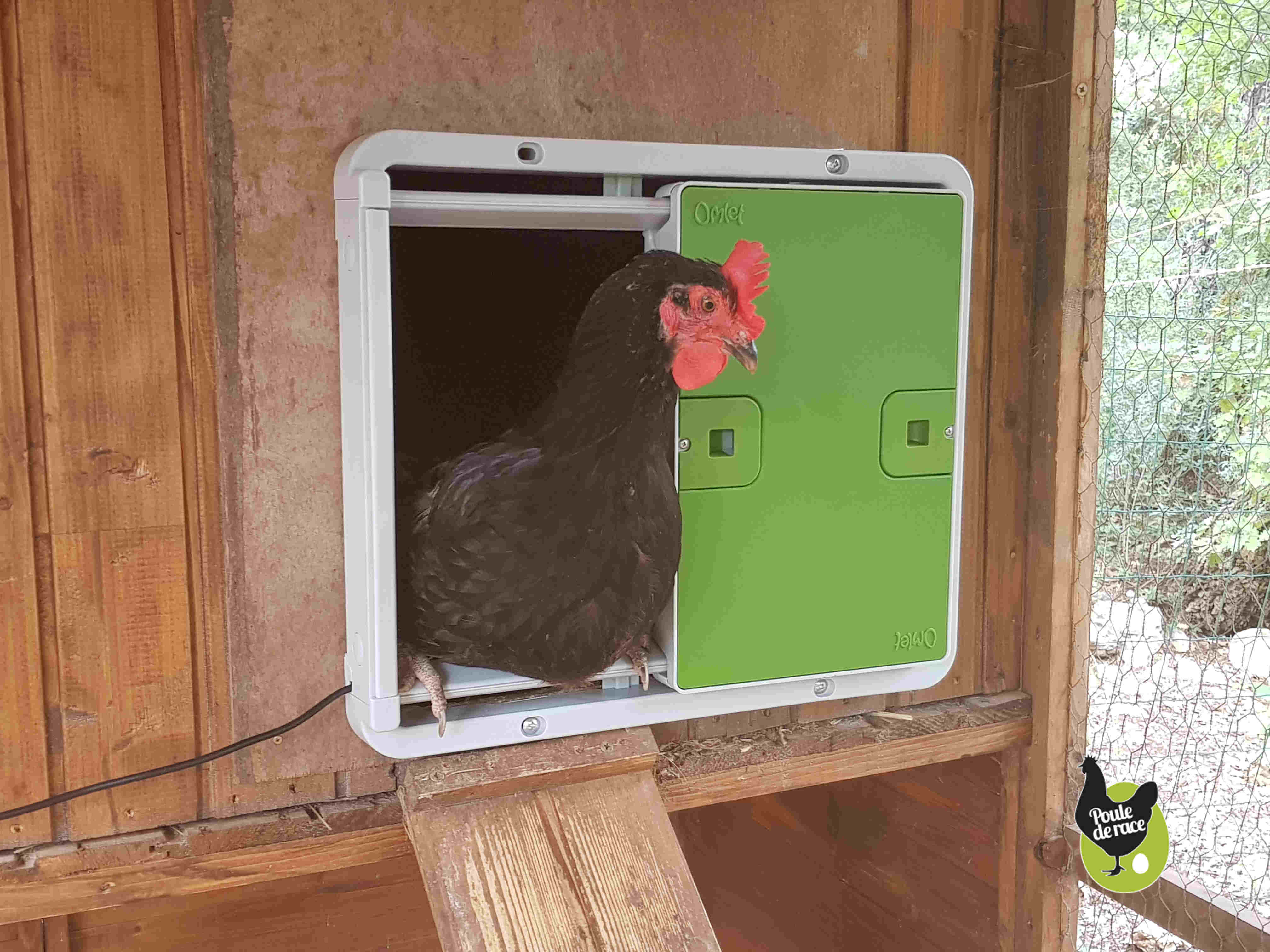 Porte automatique pour poulailler universelle