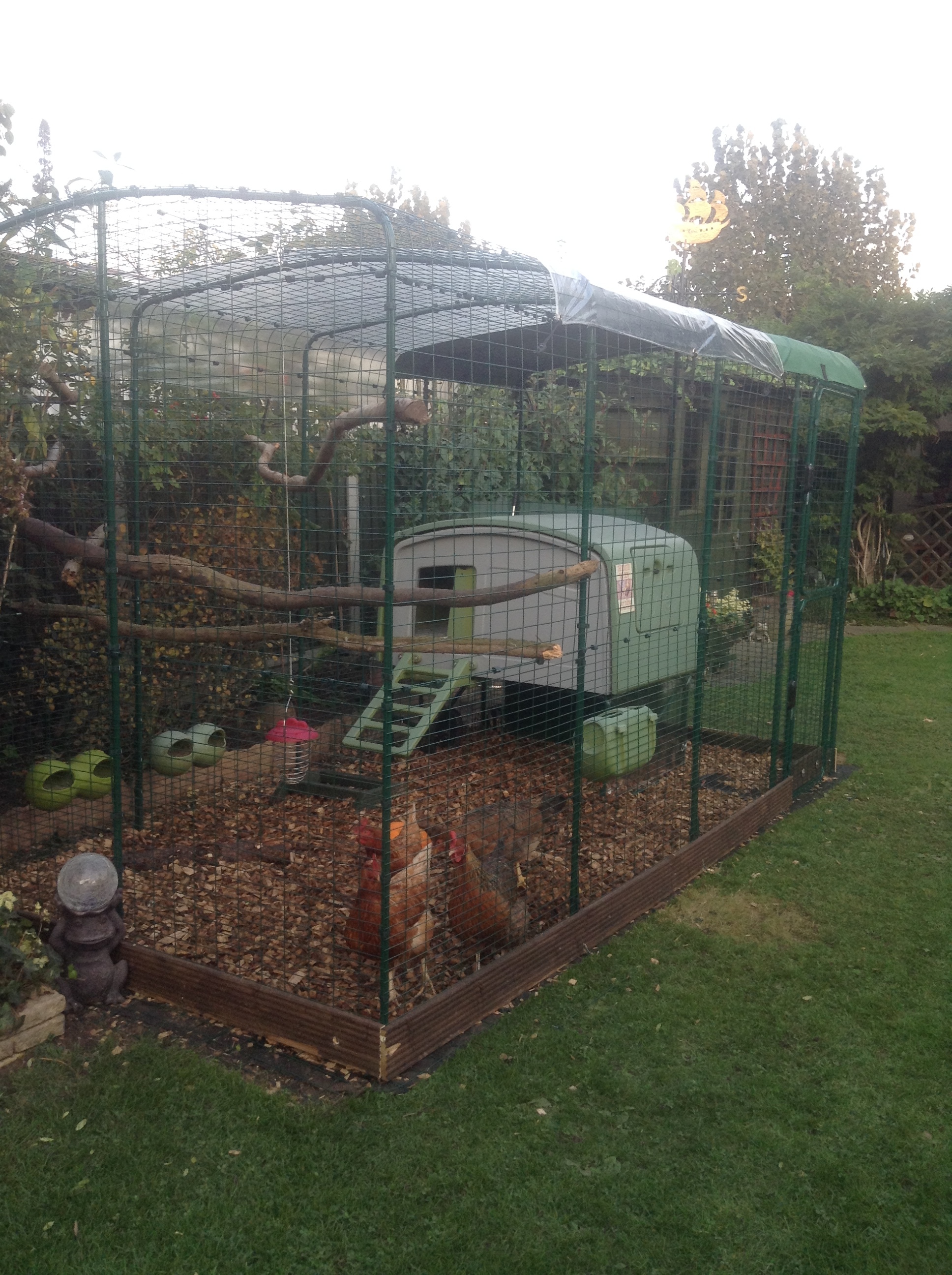 Poules Images Reverse Search